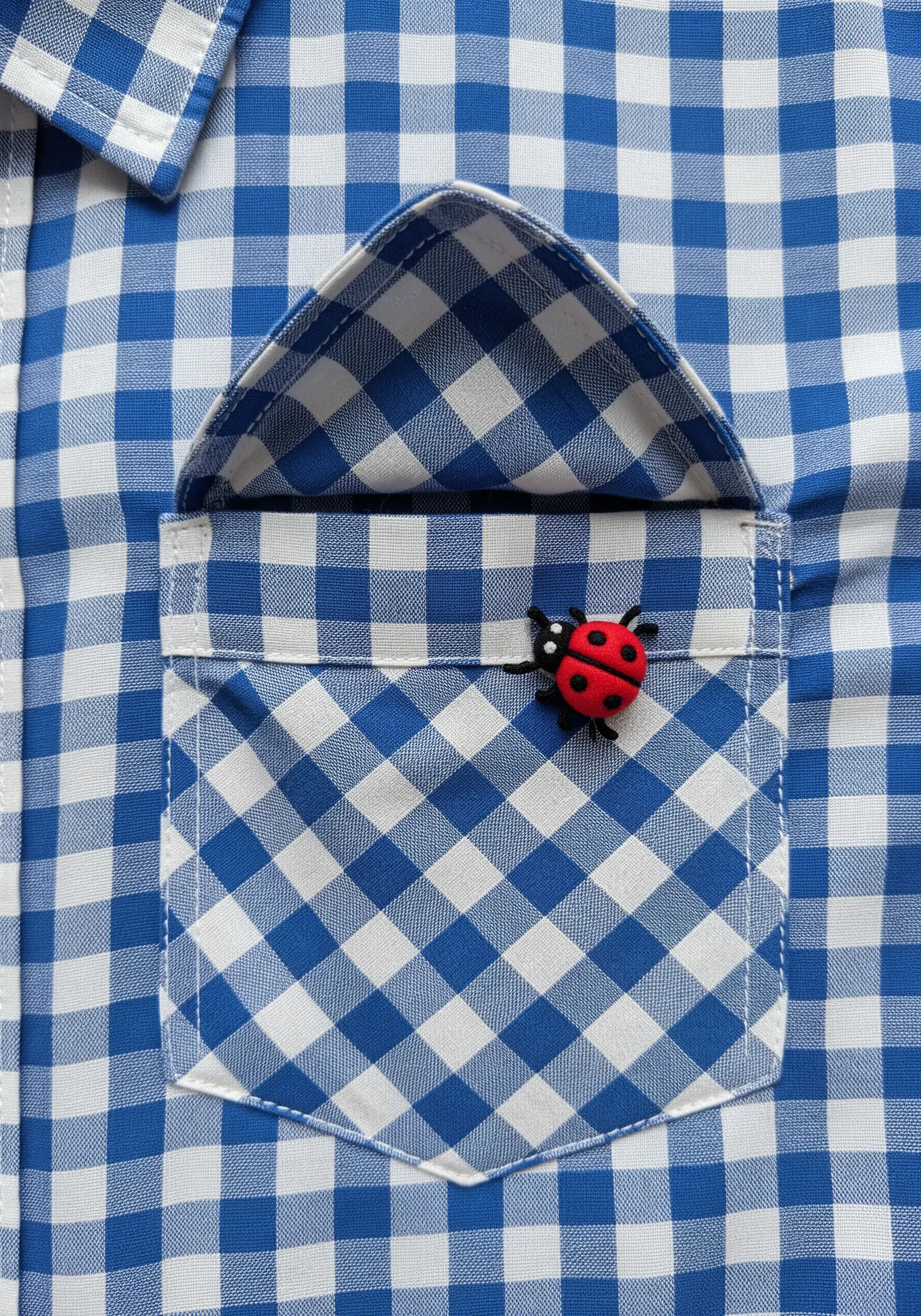 A red ladybug button sewn onto a blue and white gingham shirt pocket, with tiny embroidered legs.