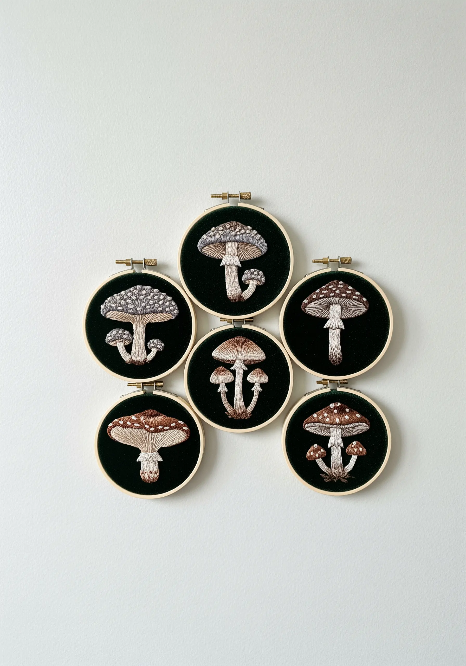 A collection of six small embroidery hoops, each featuring a different detailed mushroom species.