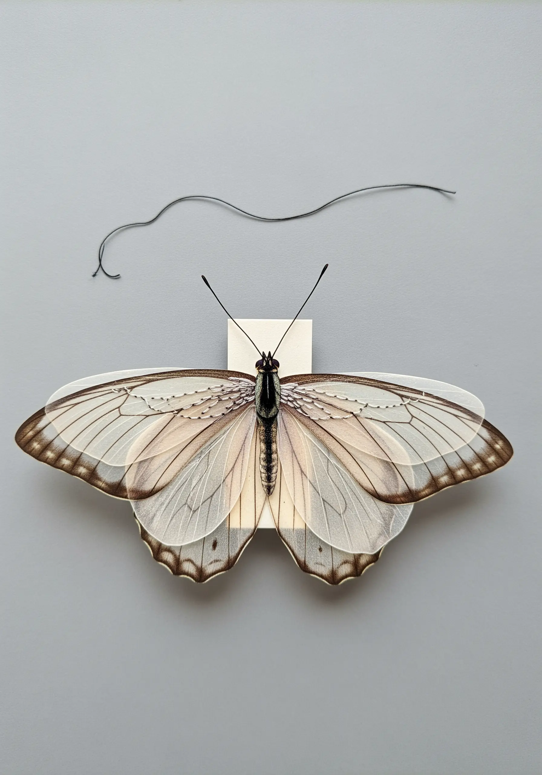 A delicate paper butterfly illustration with a single piece of black thread forming its antennae.