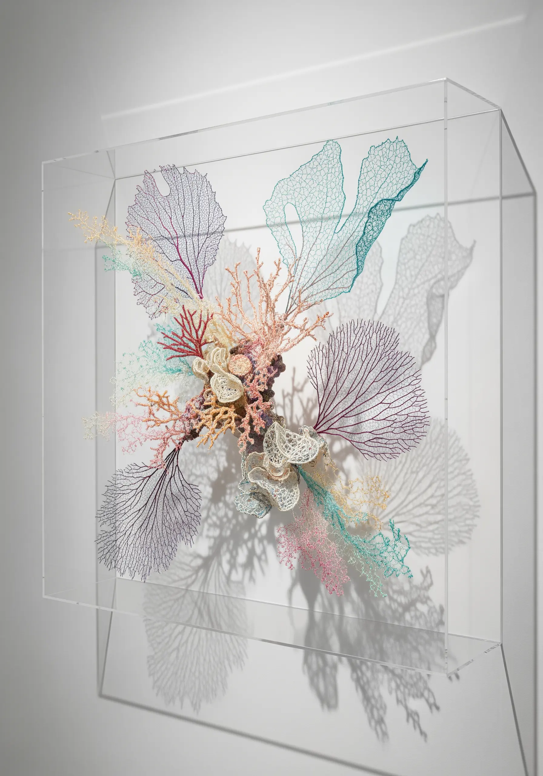 A delicate, multi-colored thread sculpture of coral displayed in a clear acrylic box.
