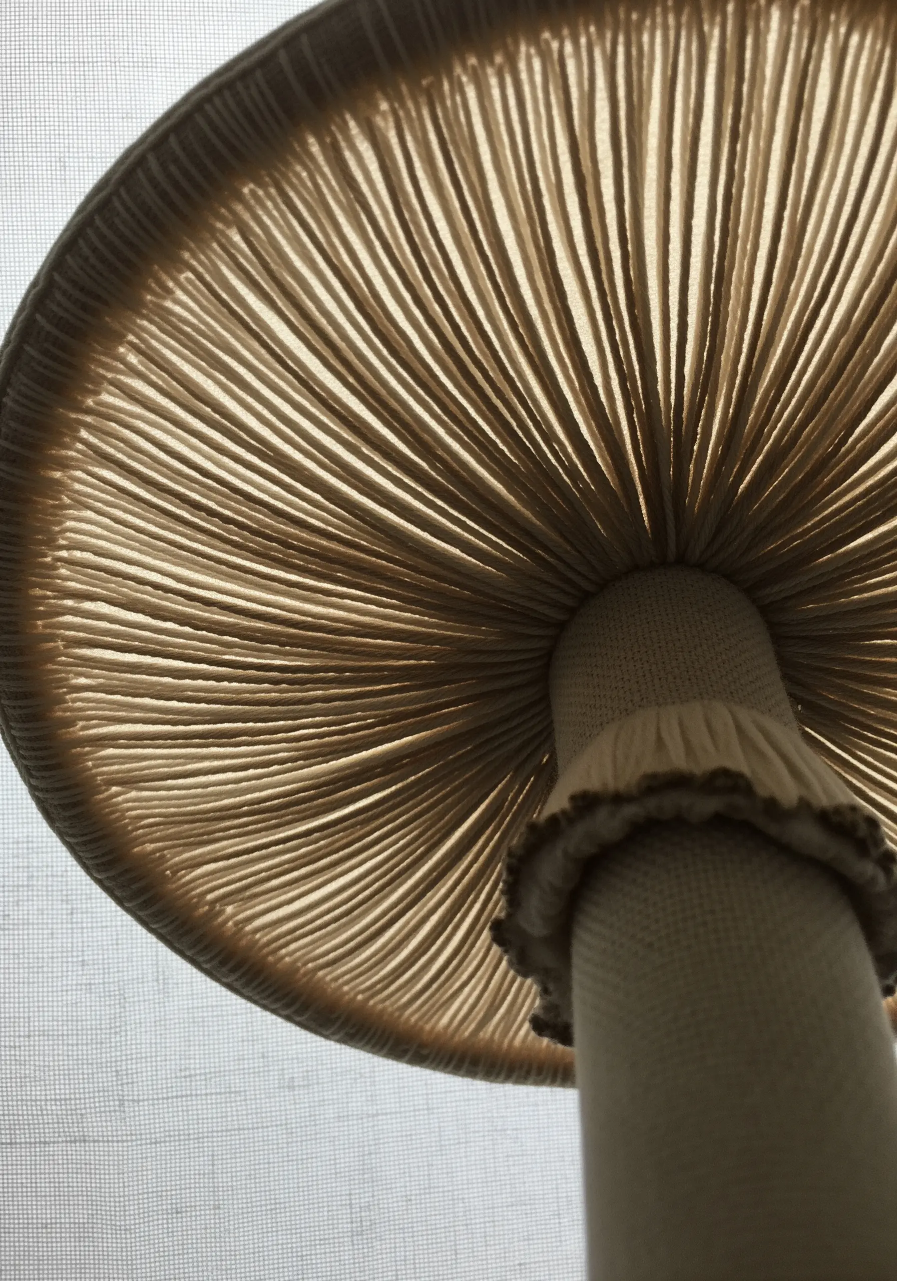 A close-up view of embroidered mushroom gills made with radiating straight stitches.