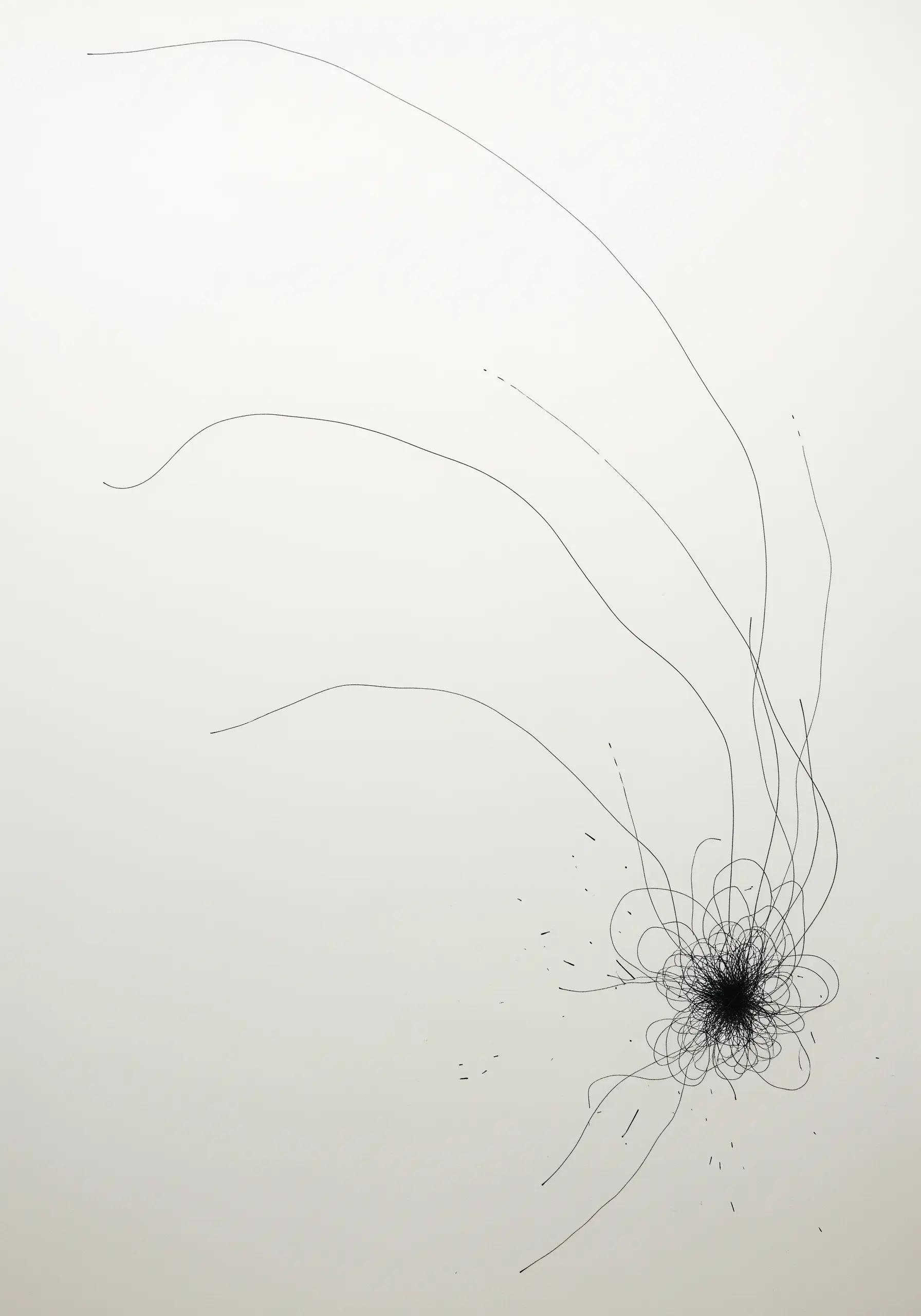 A minimalist composition of fine black thread on white, with a knot and sweeping lines.