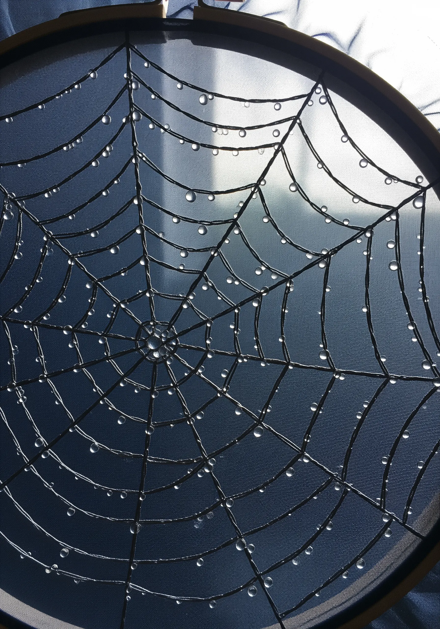 A spiderweb embroidered on dark tulle, with tiny beads stitched on to represent dewdrops.