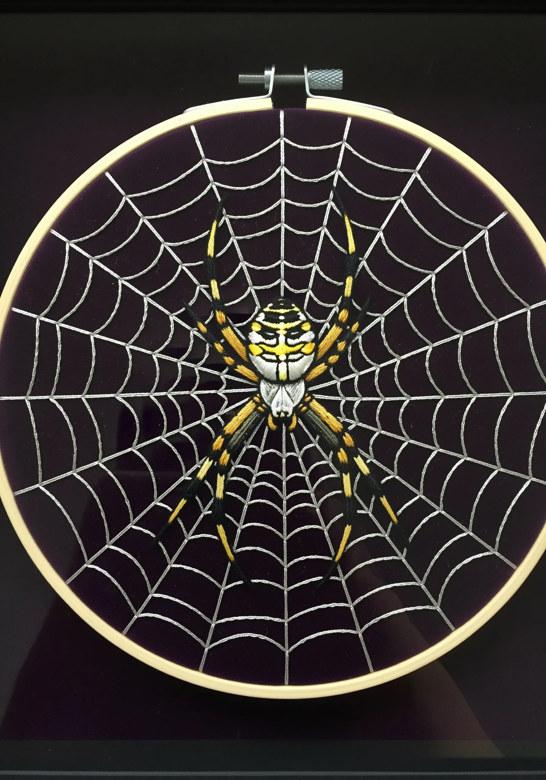 A garden spider on a perfectly symmetrical web, stitched in white on dark purple velvet.