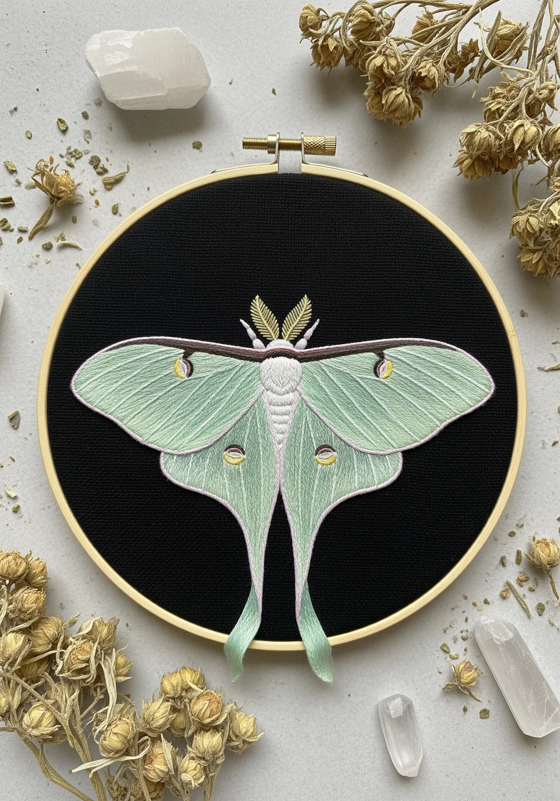 A luna moth embroidery with pale green wings and delicate silk ribbon for the wing tails.