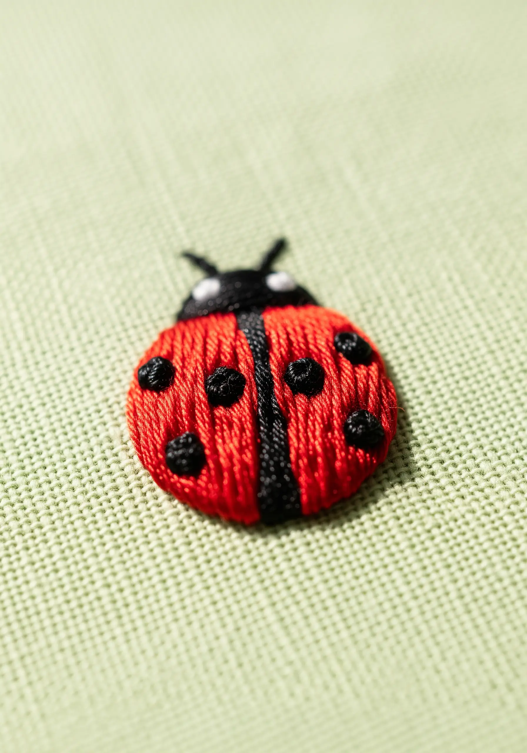 A tiny, dimensional ladybug with padded satin stitch and French knot spots.