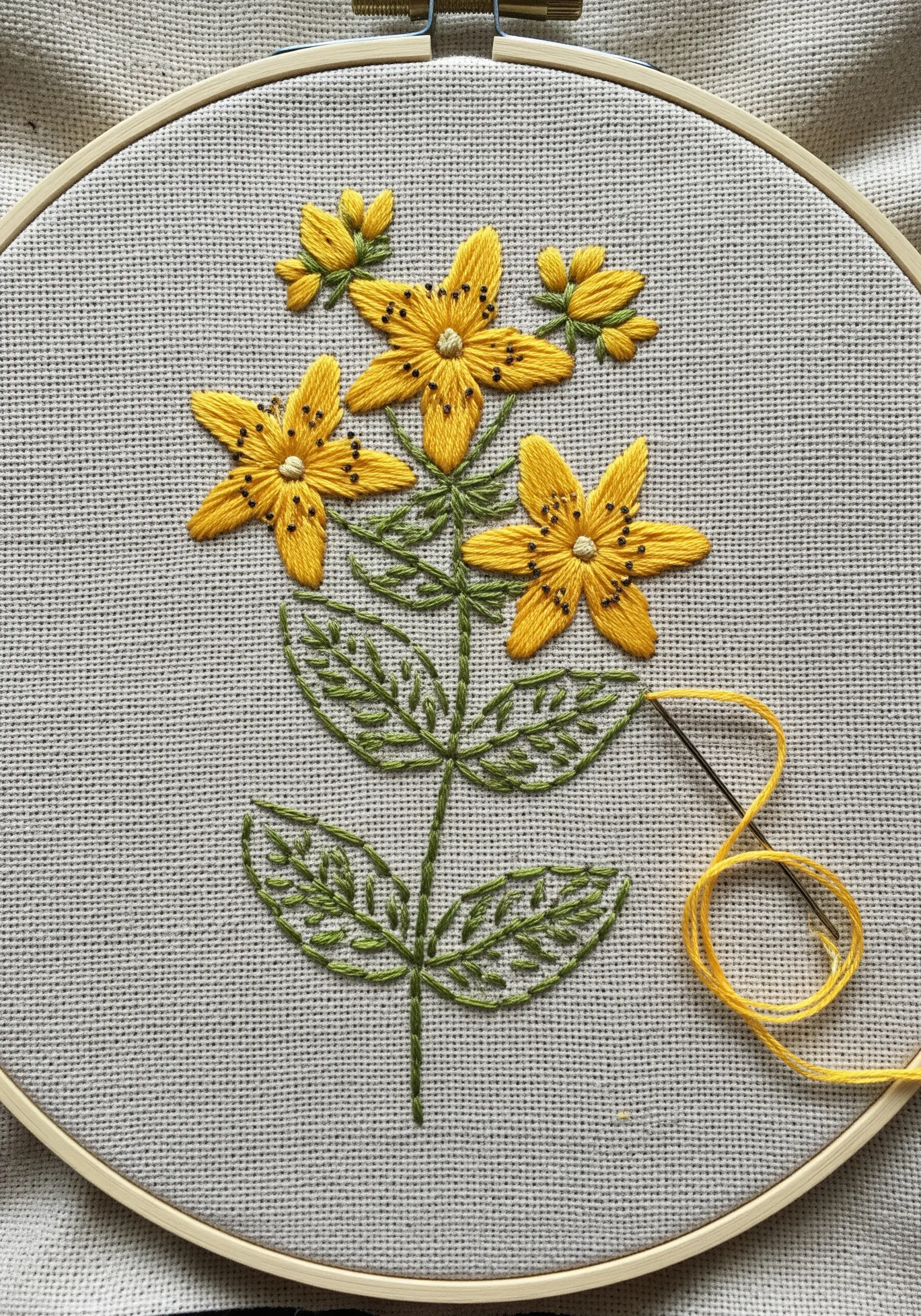 A St. John's Wort embroidery in progress, with satin-stitched yellow flowers and outlined leaves.