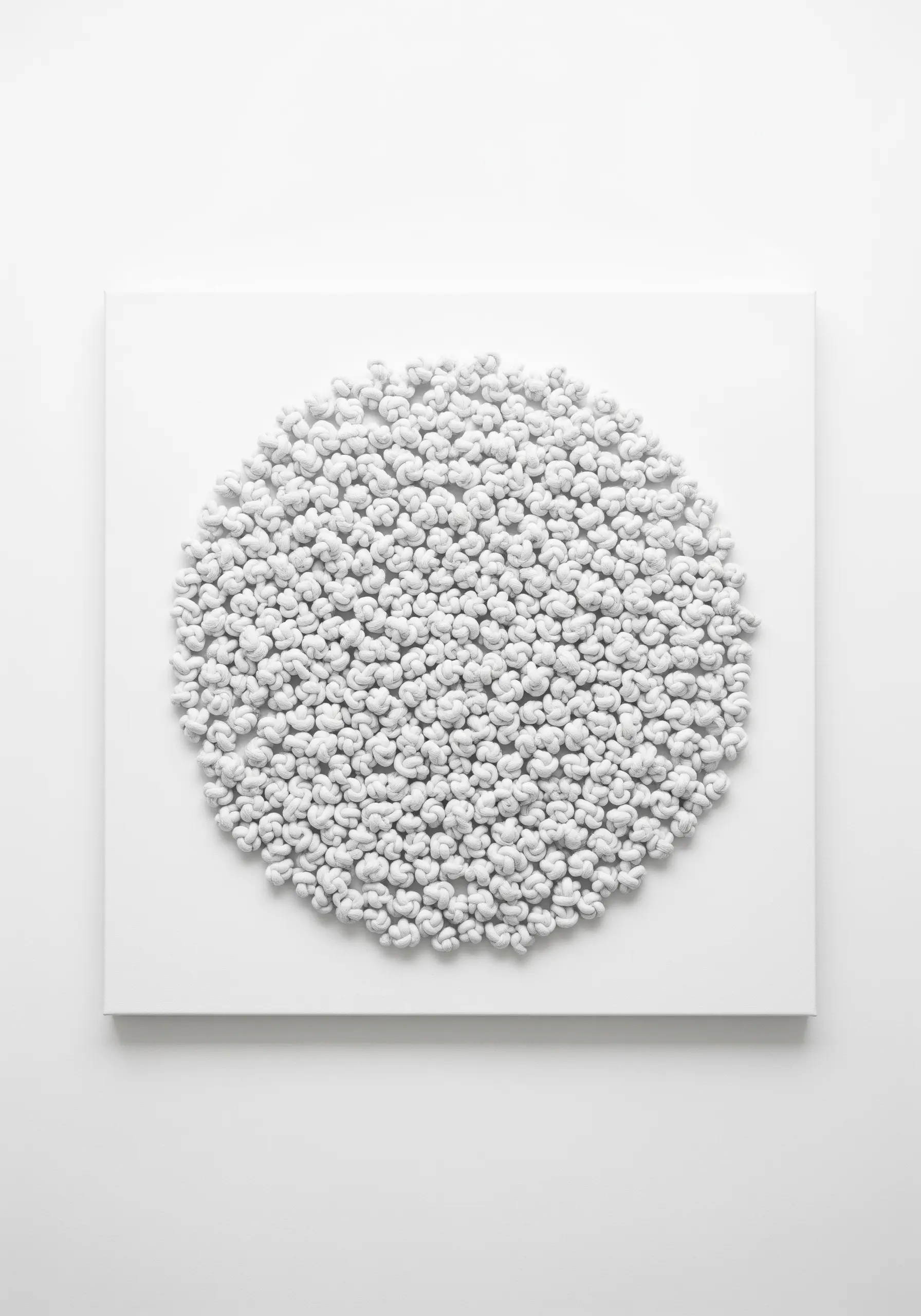 A square white canvas featuring a dense circle of white, highly textural French knots.