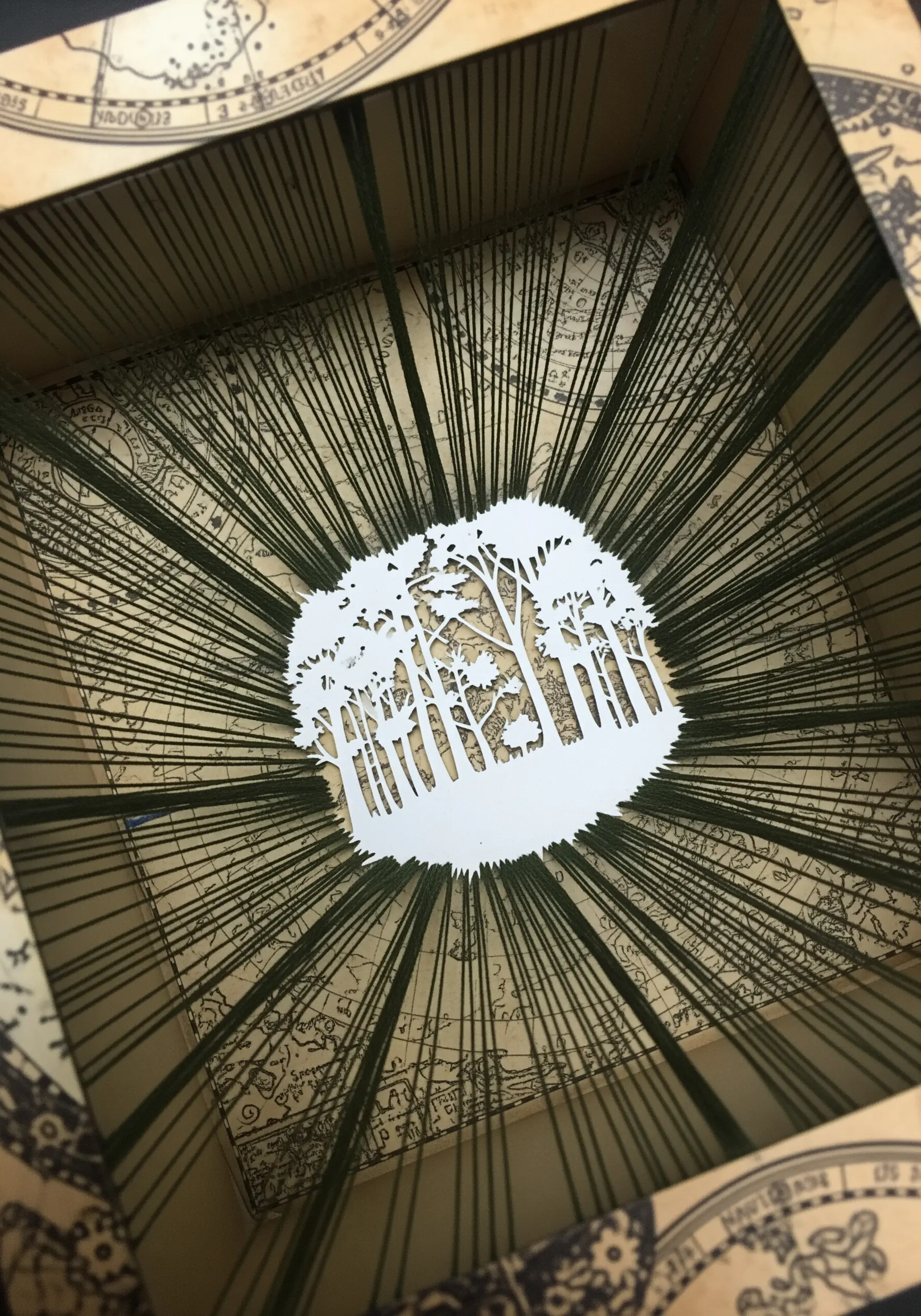 A shadow box with threads radiating from a central papercut forest silhouette.
