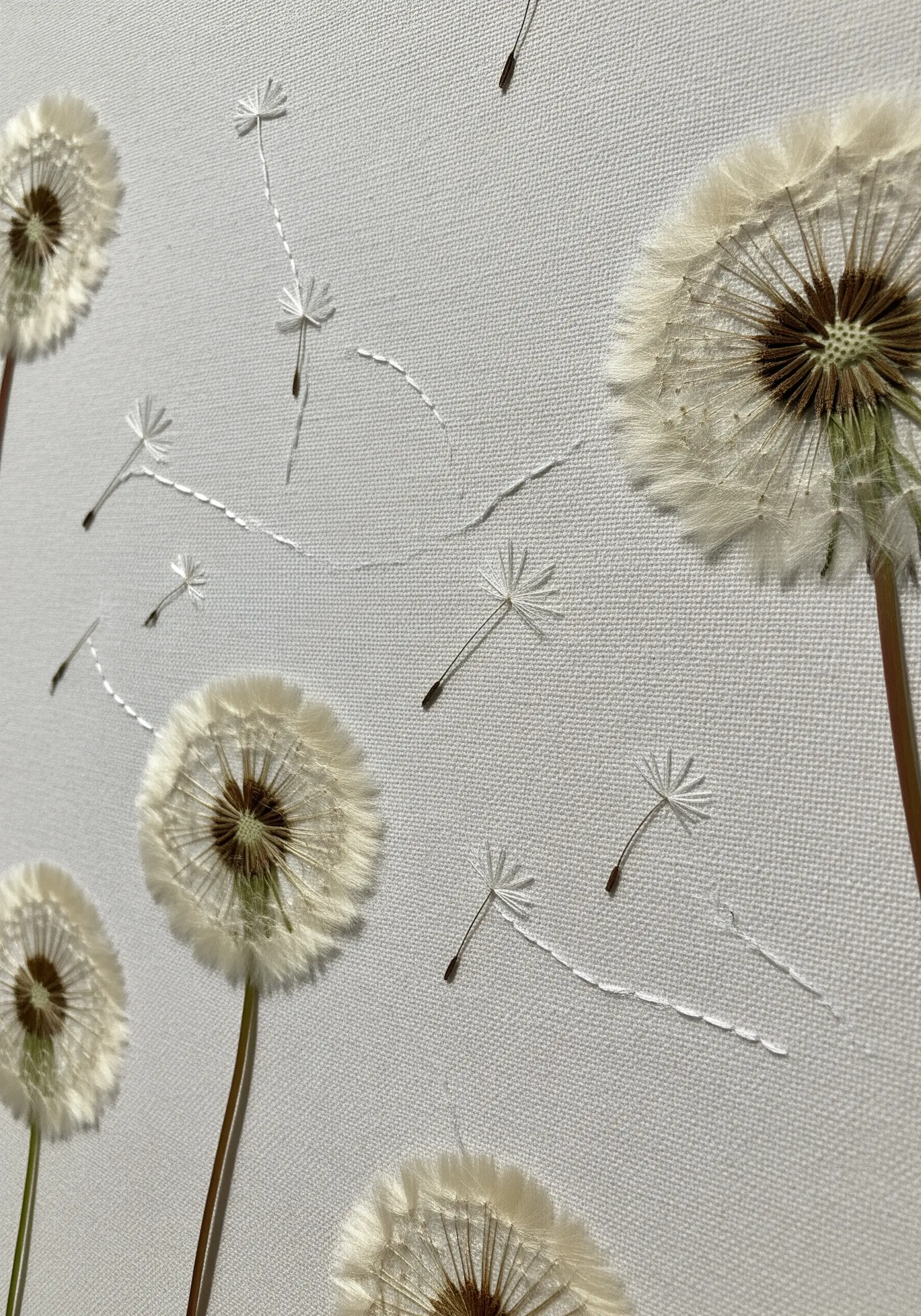Real dandelion heads with embroidered seeds blowing away across white fabric.