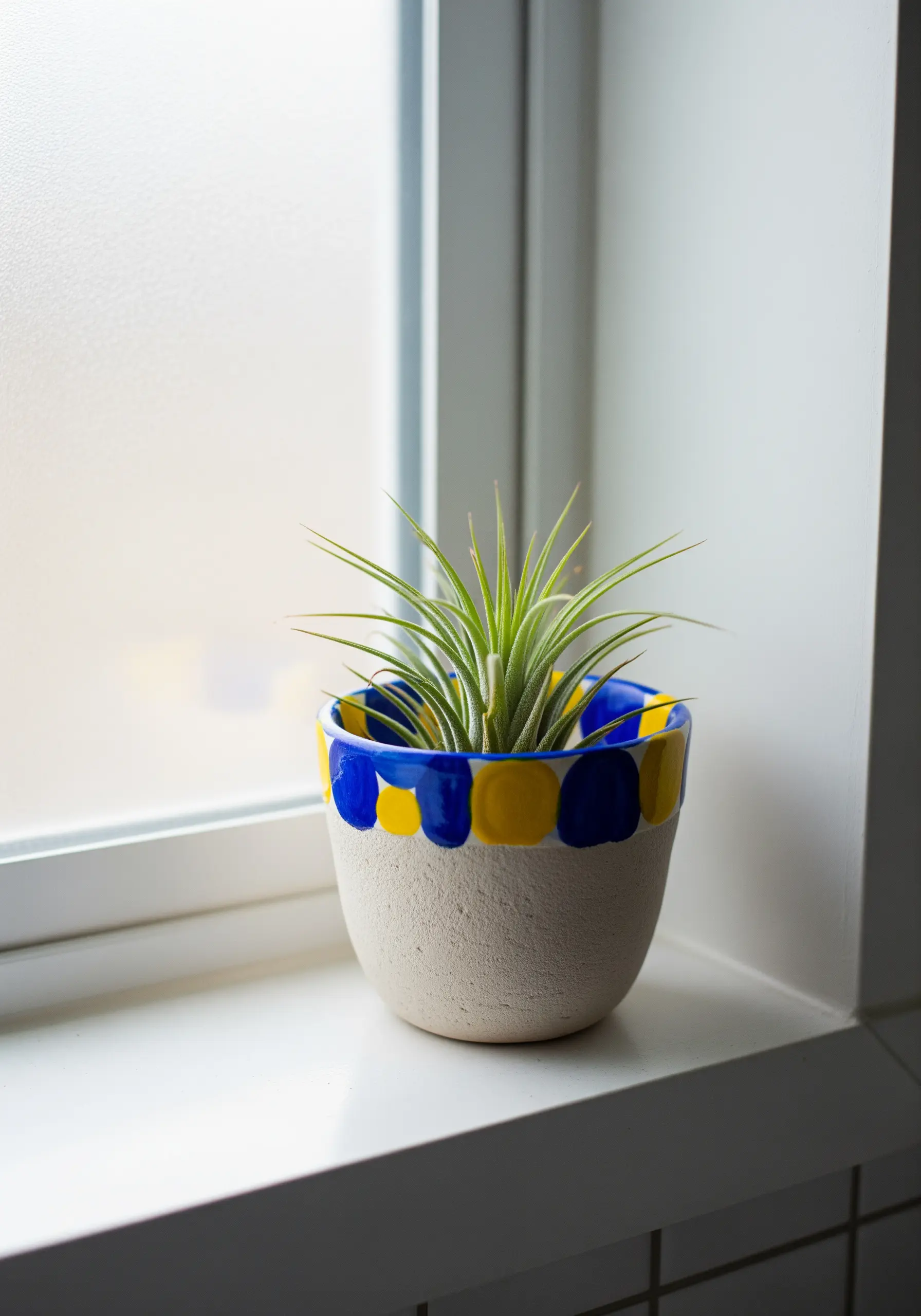 An air plant in a small ceramic pot decorated with a bold blue and yellow painted pattern.
