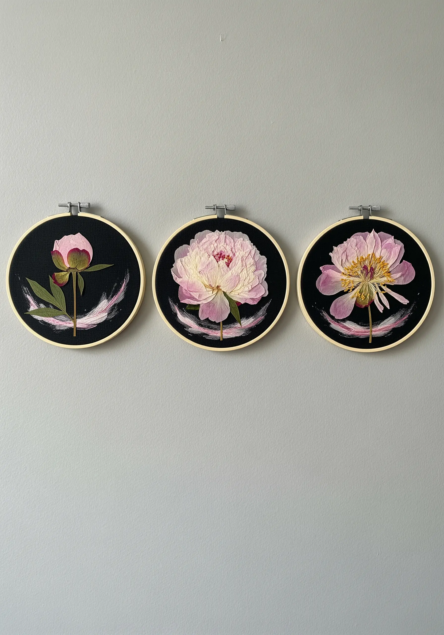 Three embroidery hoops with pressed peonies on black fabric, accented with paint swipes.