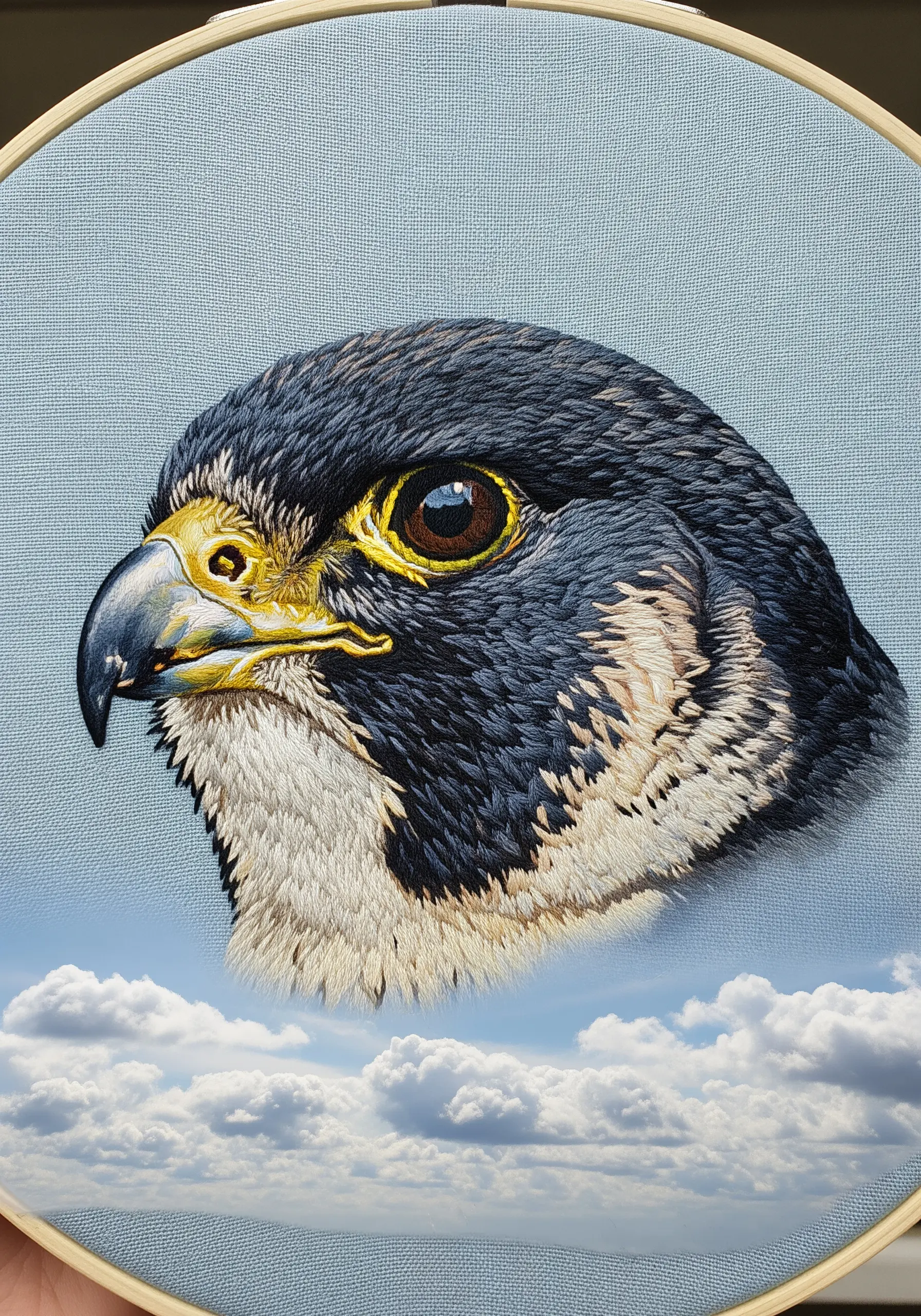 An embroidered falcon head stitched over a printed cloud-sky background.