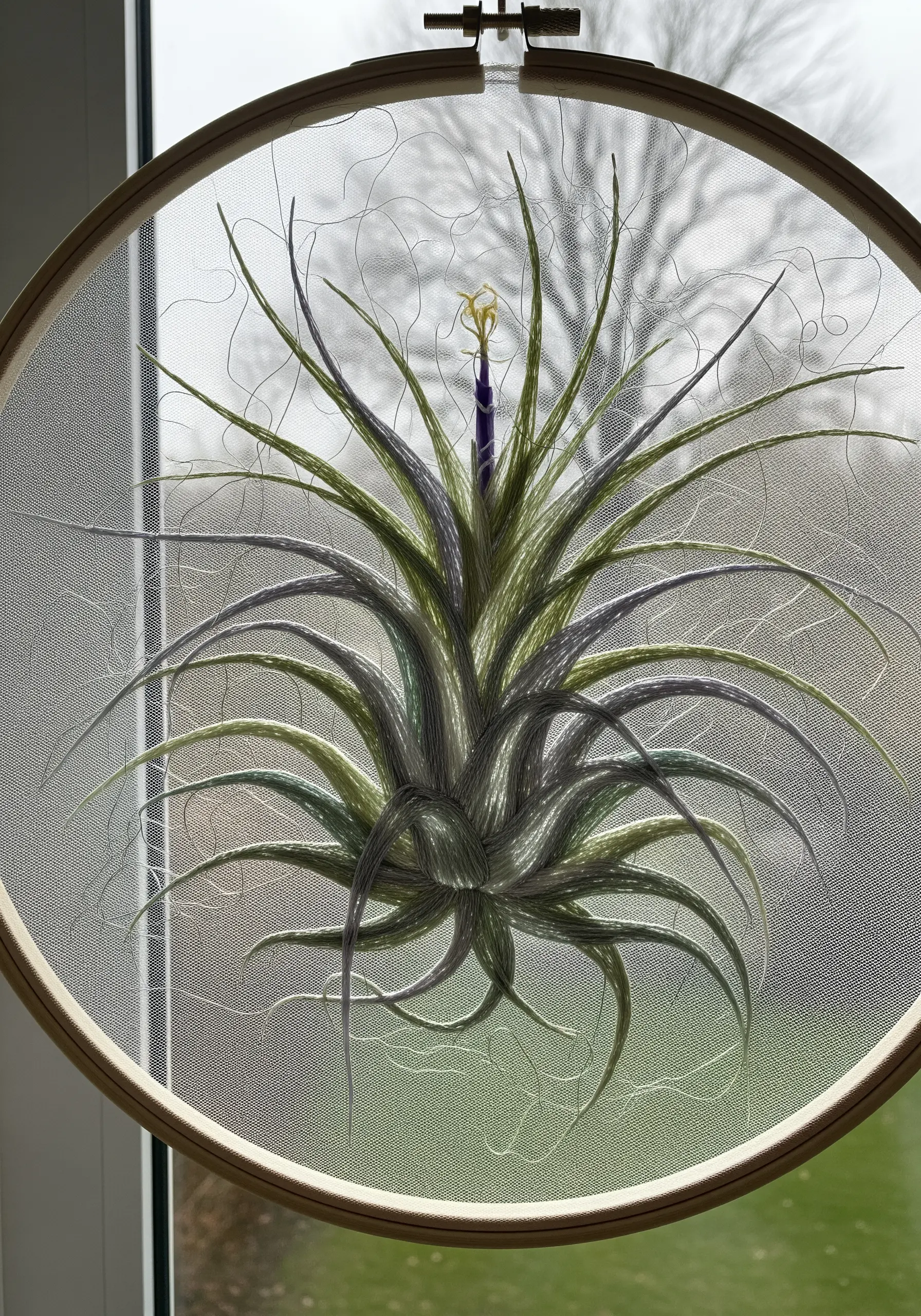 An embroidered air plant stitched on sheer fabric, creating a floating effect.