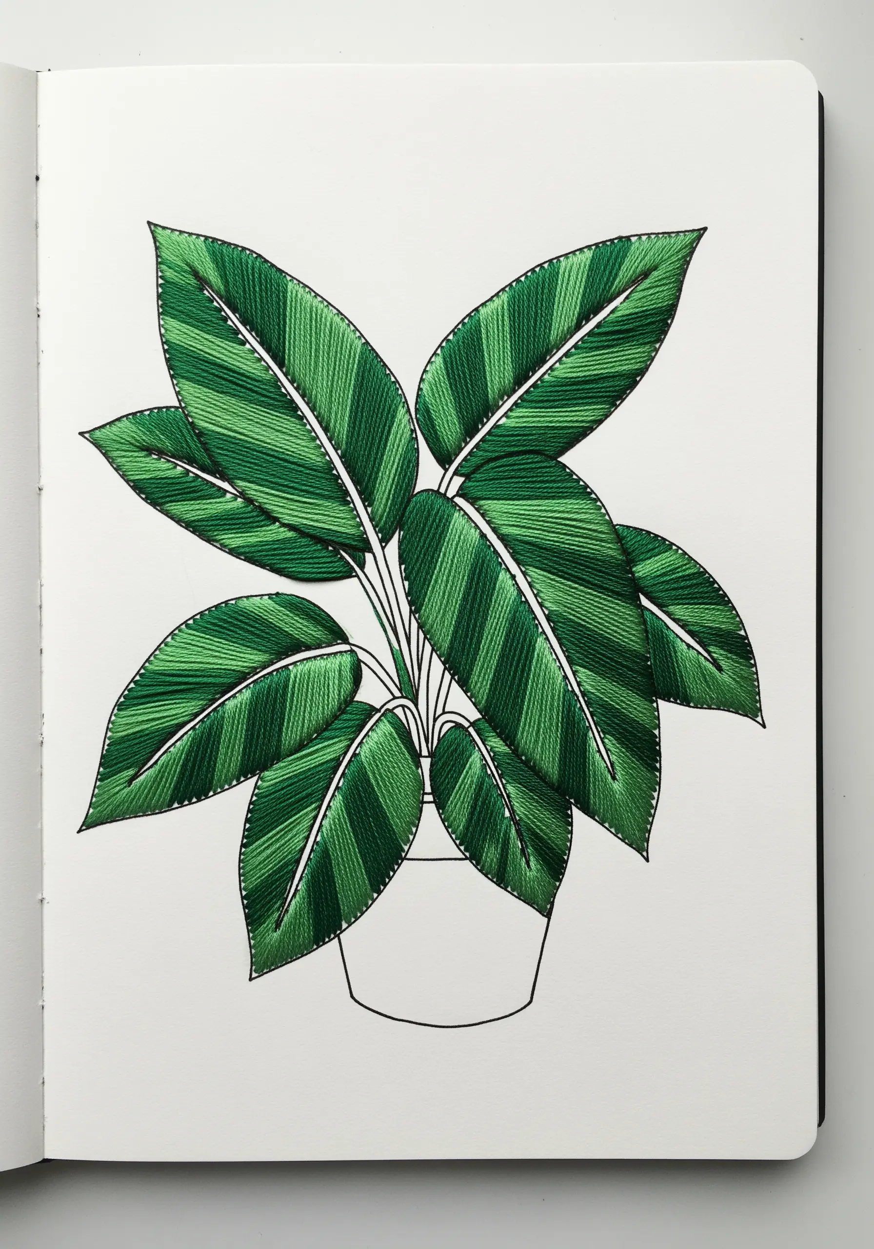 A houseplant with striped green leaves embroidered with satin stitch on paper.