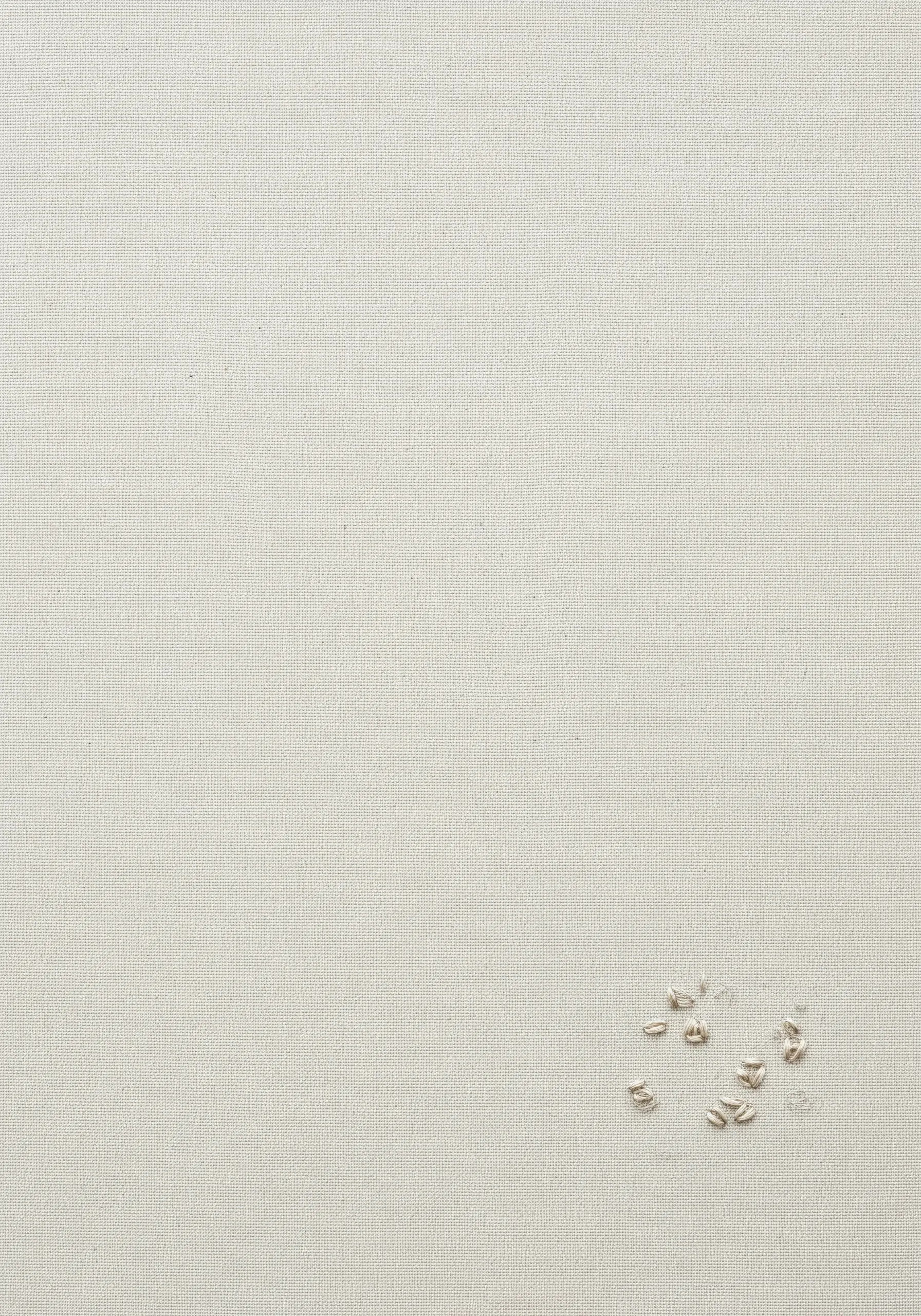 A few scattered seed stitches in a neutral color on a large expanse of un-stitched linen fabric.