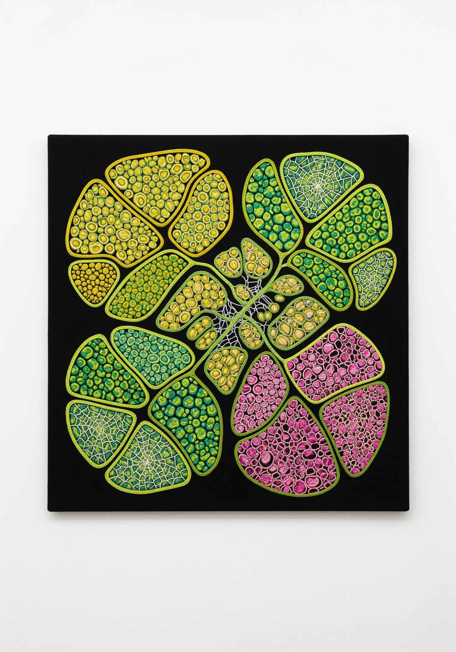 Abstract embroidery with colorful, cell-like shapes filled with intricate stitch patterns on black fabric.