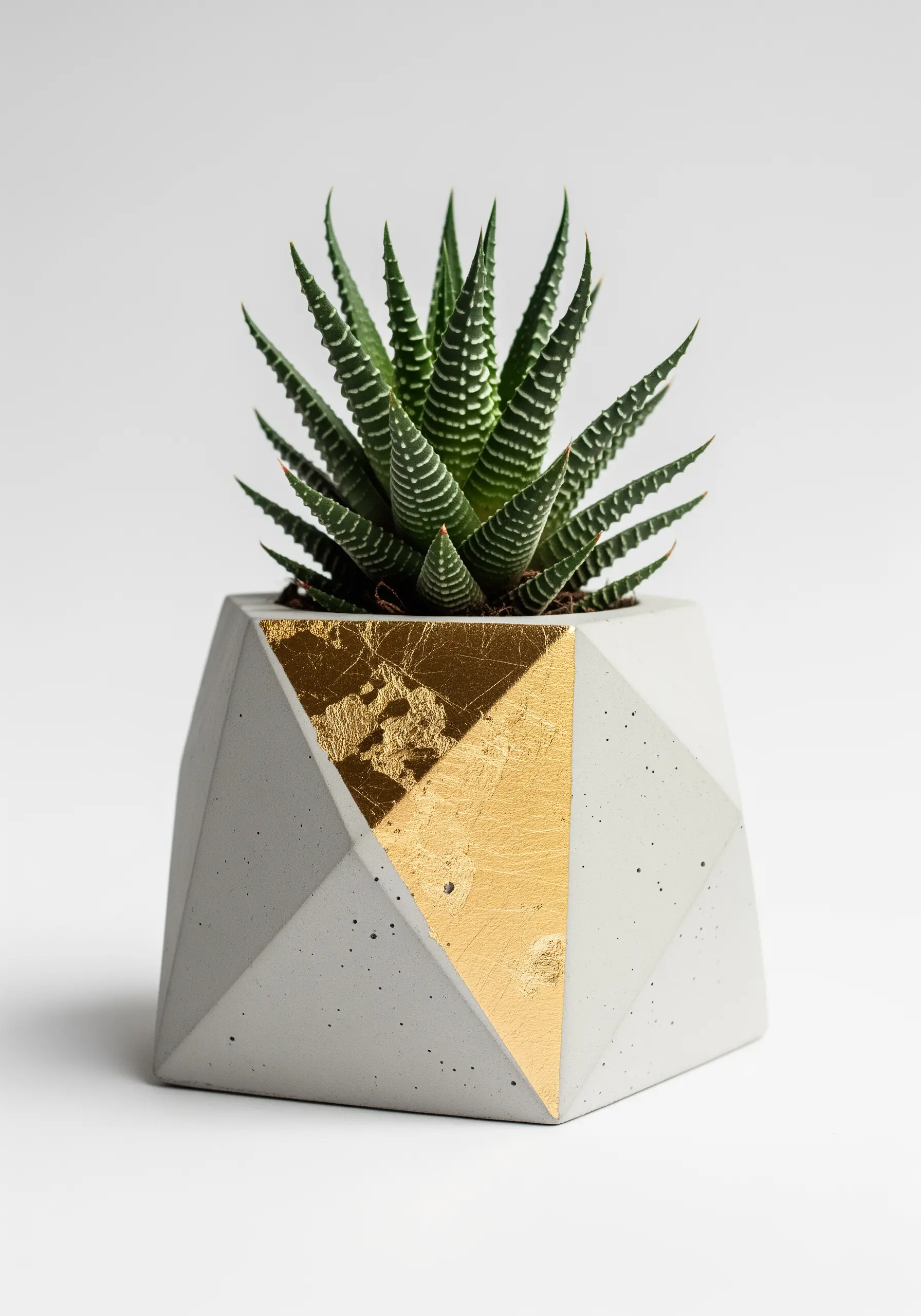 A geometric concrete planter with one sharp facet covered in shimmering gold leaf.