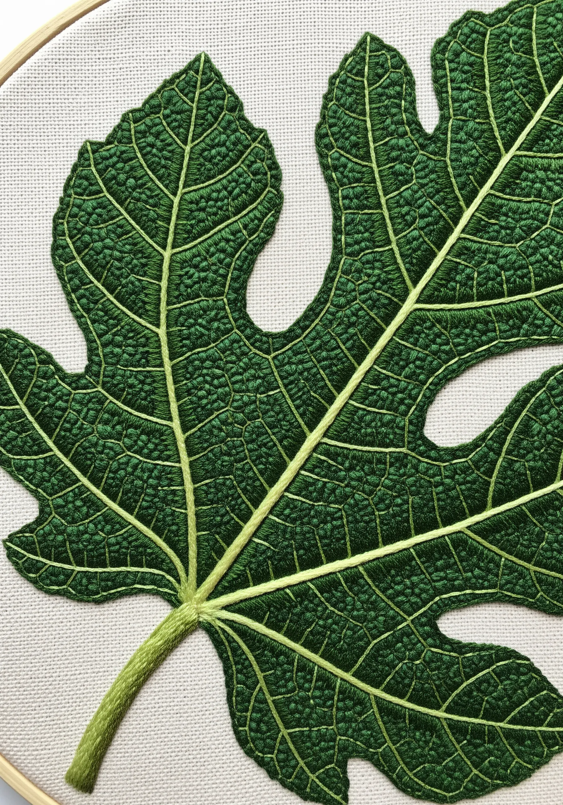 A close-up of a fig leaf with a highly textured surface made of French knots.