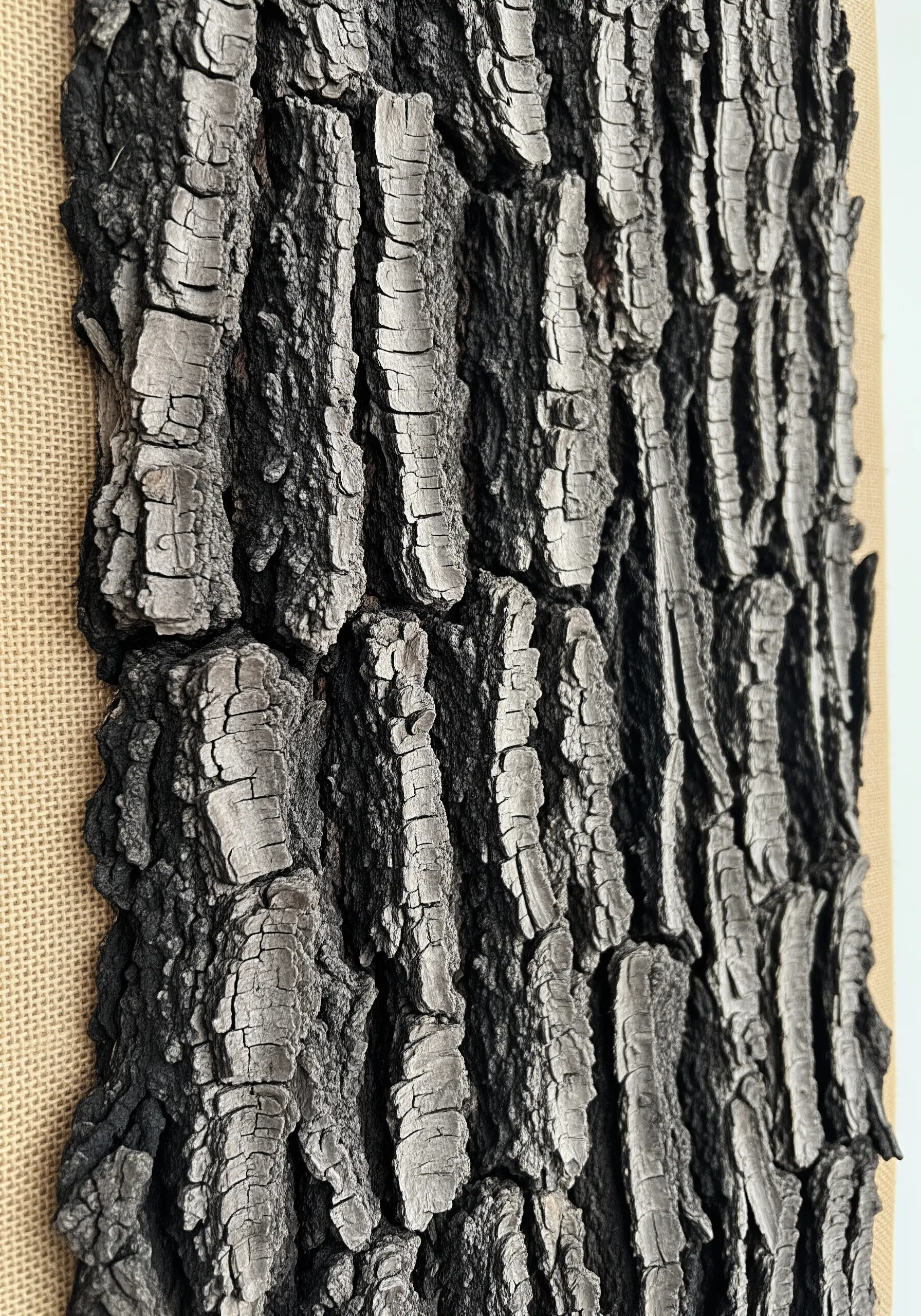 Highly textured, monochrome embroidery mimicking the deep grooves of tree bark.