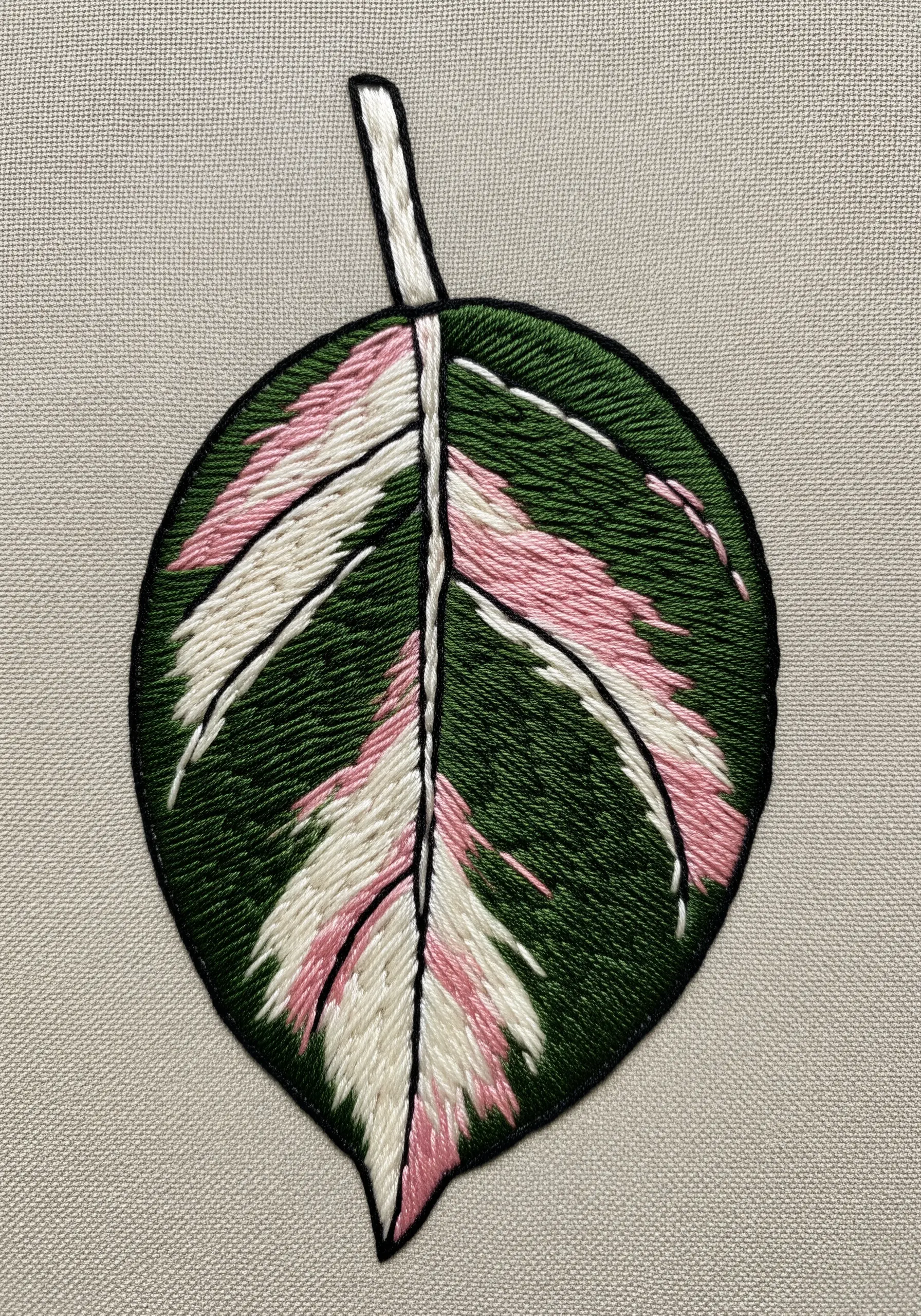 A variegated leaf patch with distinct areas of pink, white, and dark green.