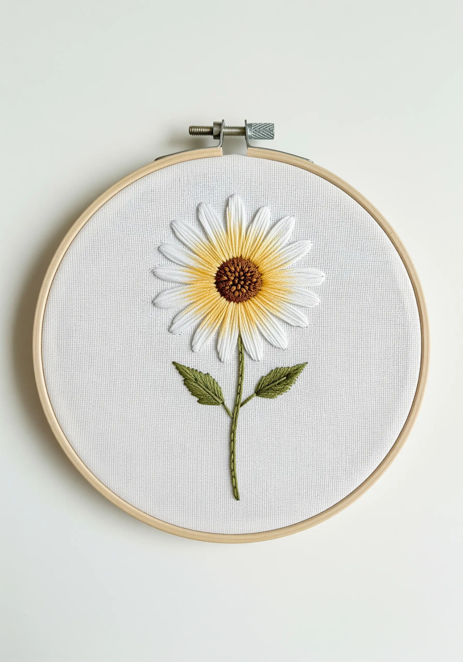 A single white daisy with a yellow-to-brown gradient center, like a sunflower.