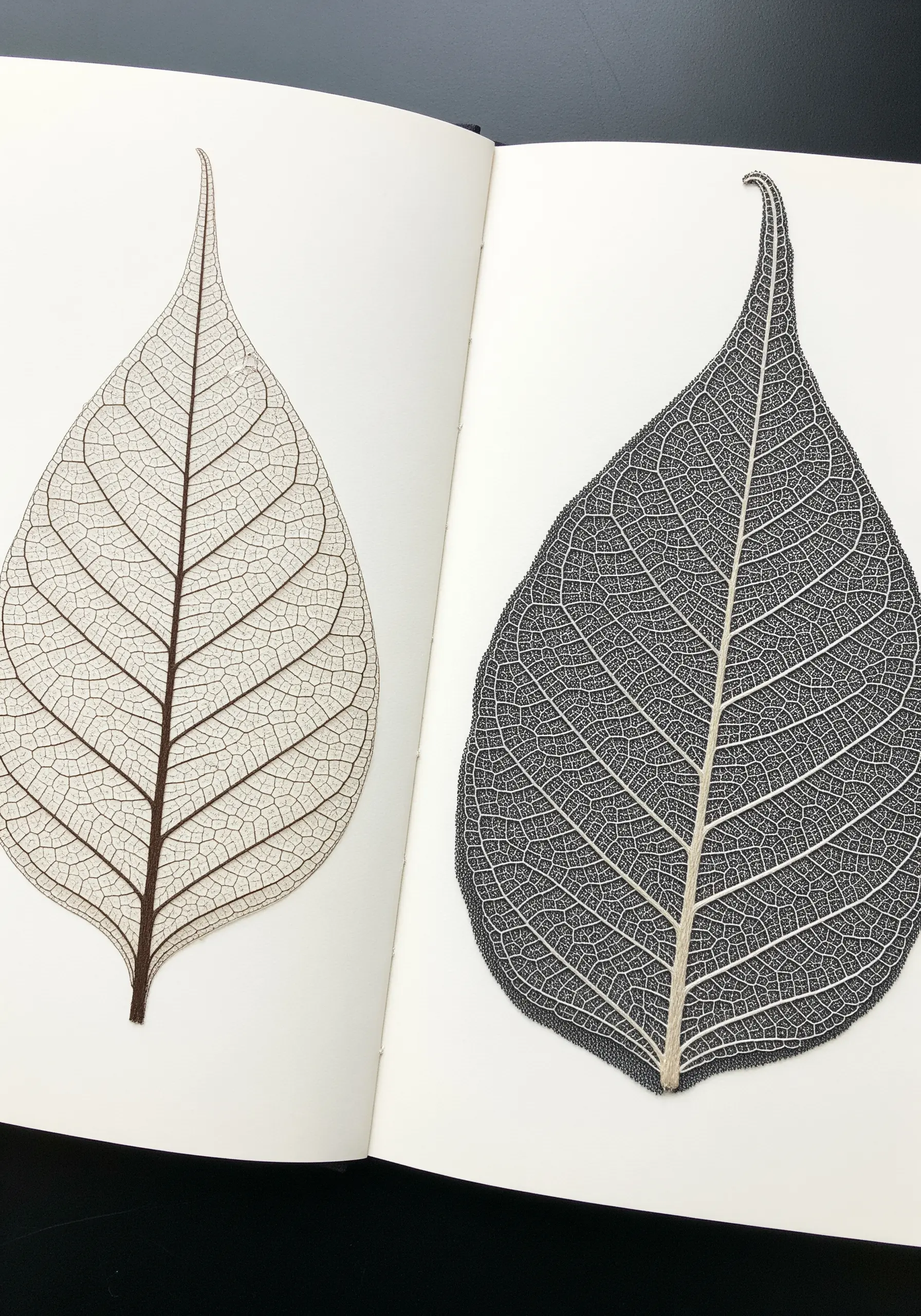 Two embroidered skeleton leaves, one in white on black and one in brown on white.