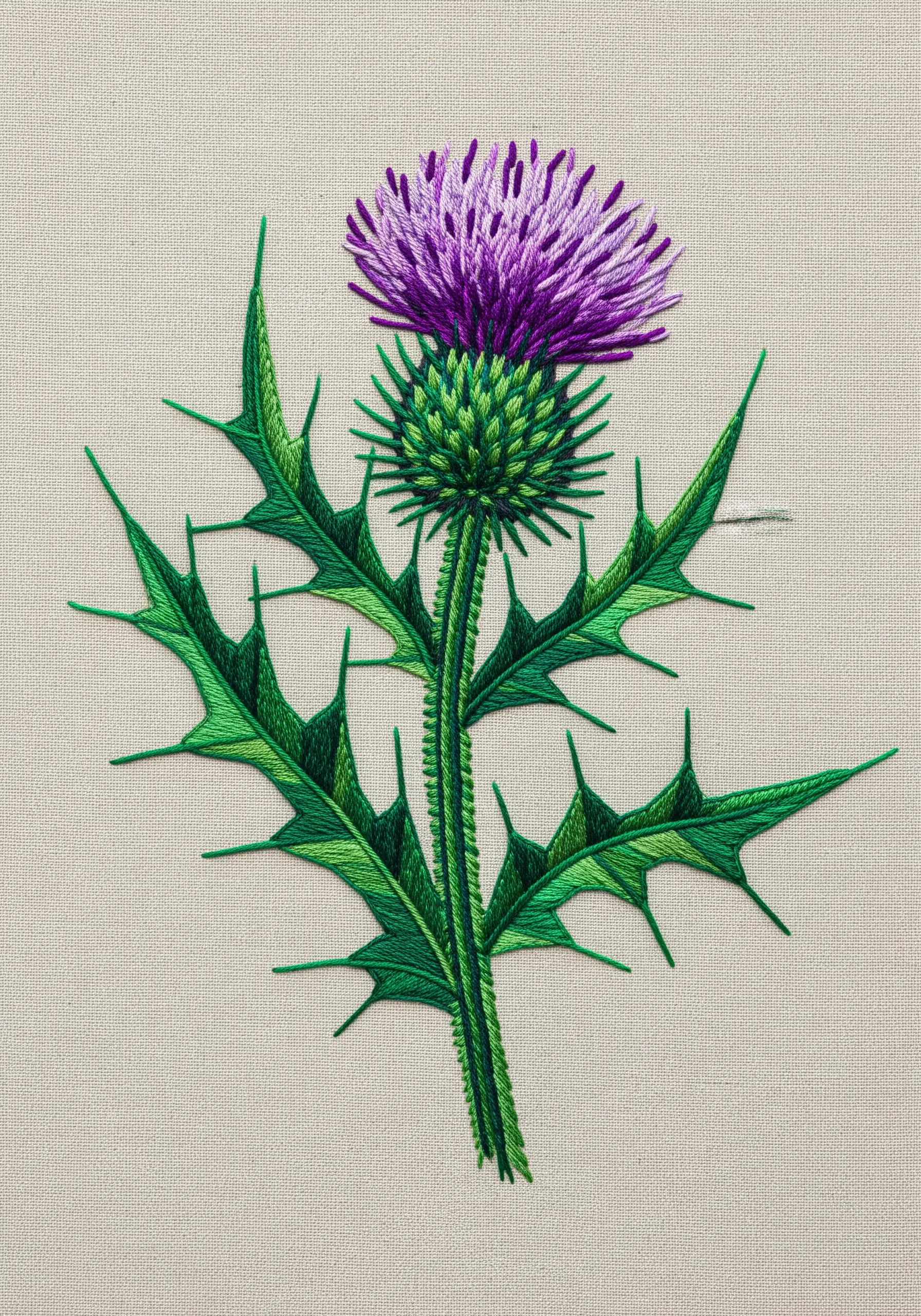 A realistic Scottish thistle with sharp green leaves and a fluffy purple top on neutral linen.
