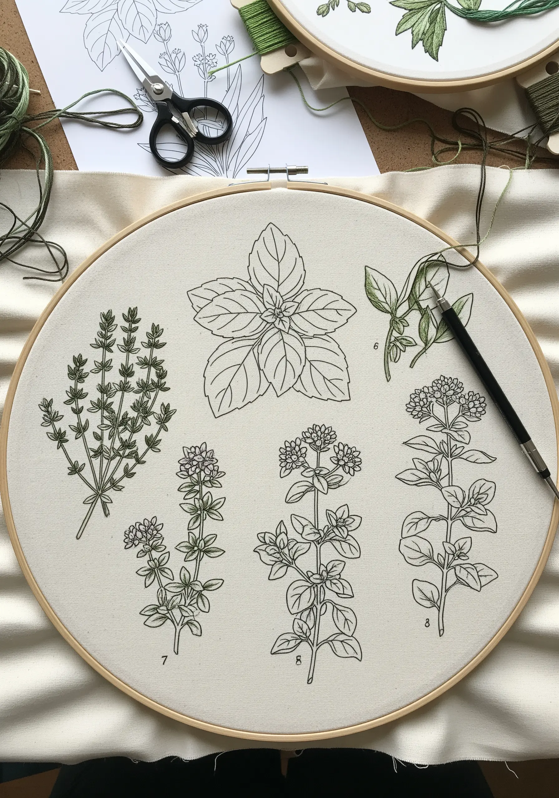 An embroidery hoop with a transferred pattern of various herbs, ready for stitching.
