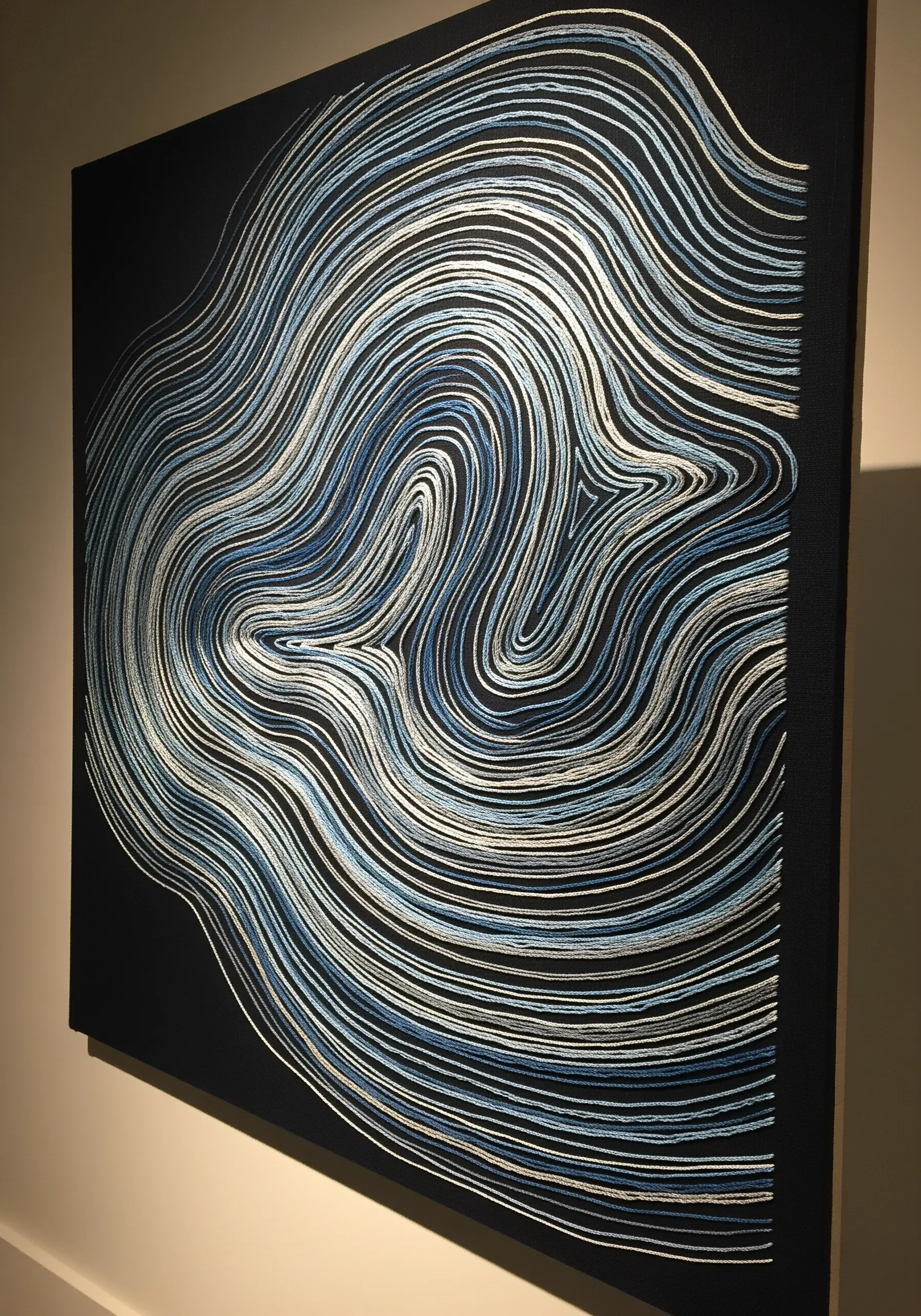 Abstract topographic line art embroidered in white, silver, and blue on a black canvas.