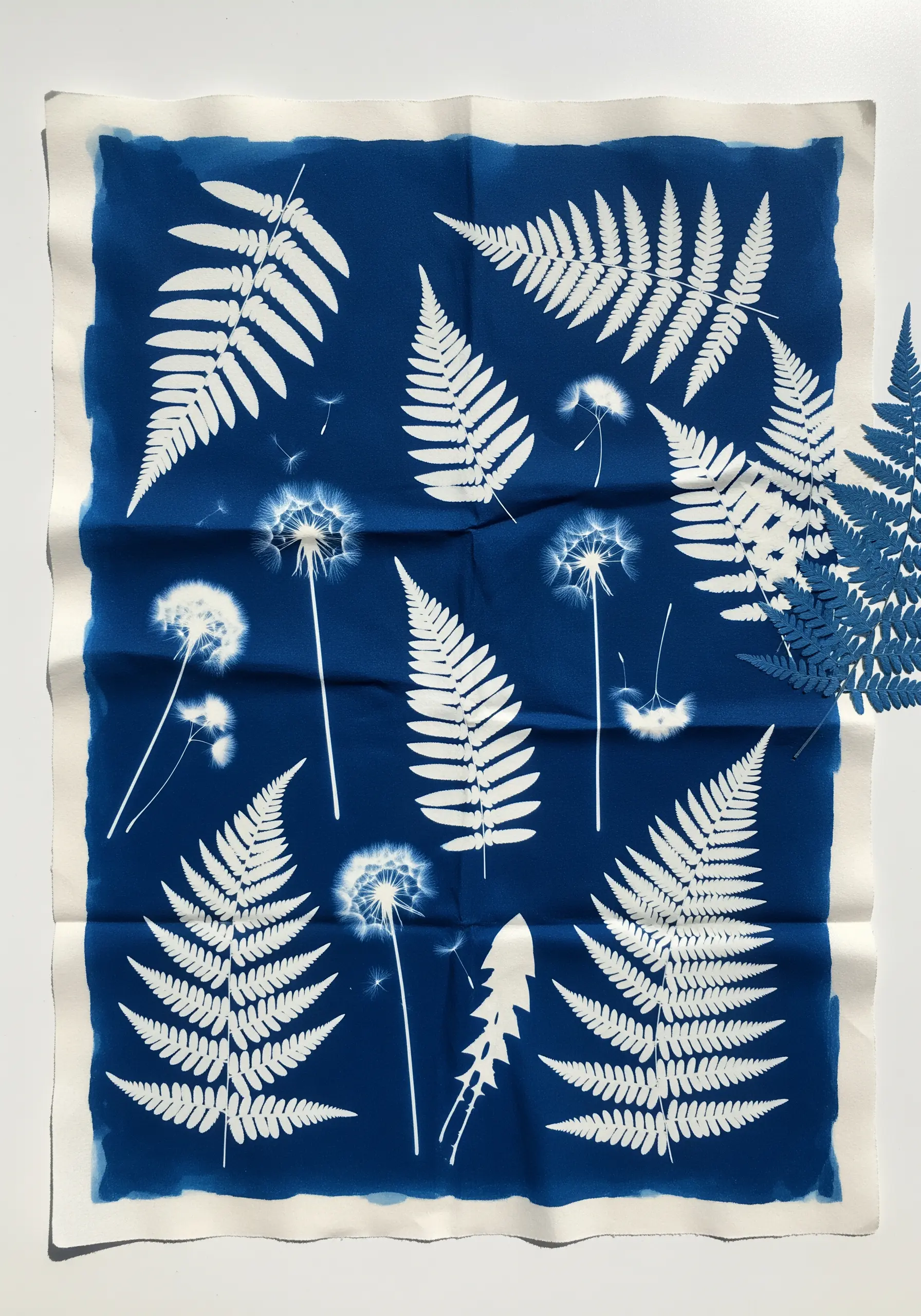 A deep blue cyanotype fabric print featuring white silhouettes of ferns and dandelions