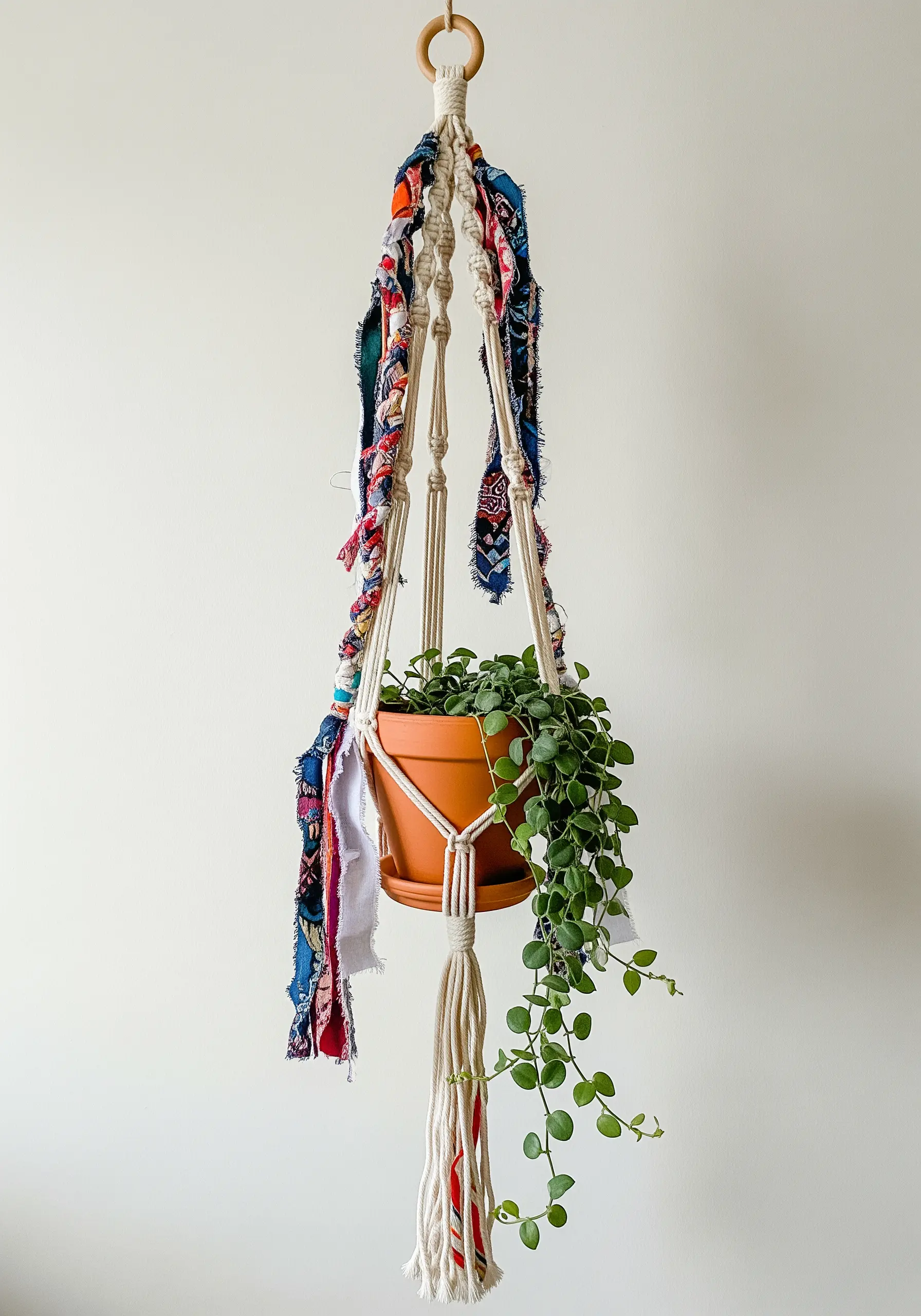 A macrame plant hanger with colorful strips of scrap fabric woven into the design.