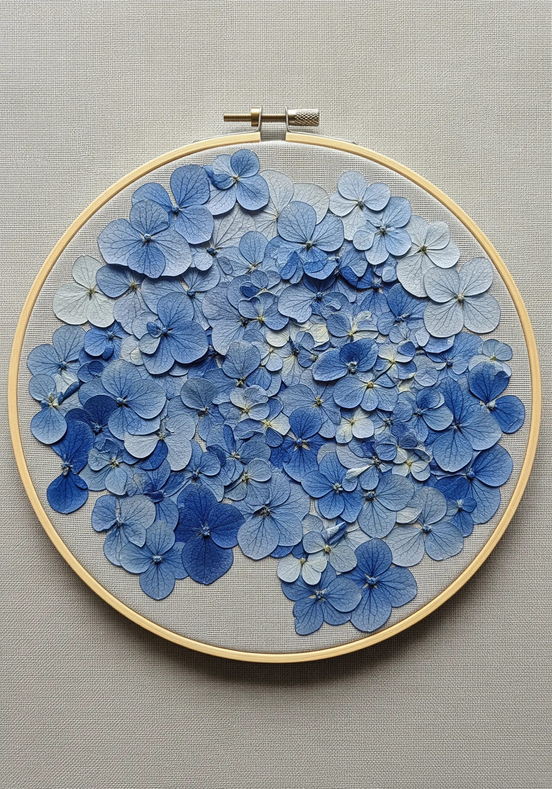 A dense cluster of pressed blue hydrangea petals filling an embroidery hoop.