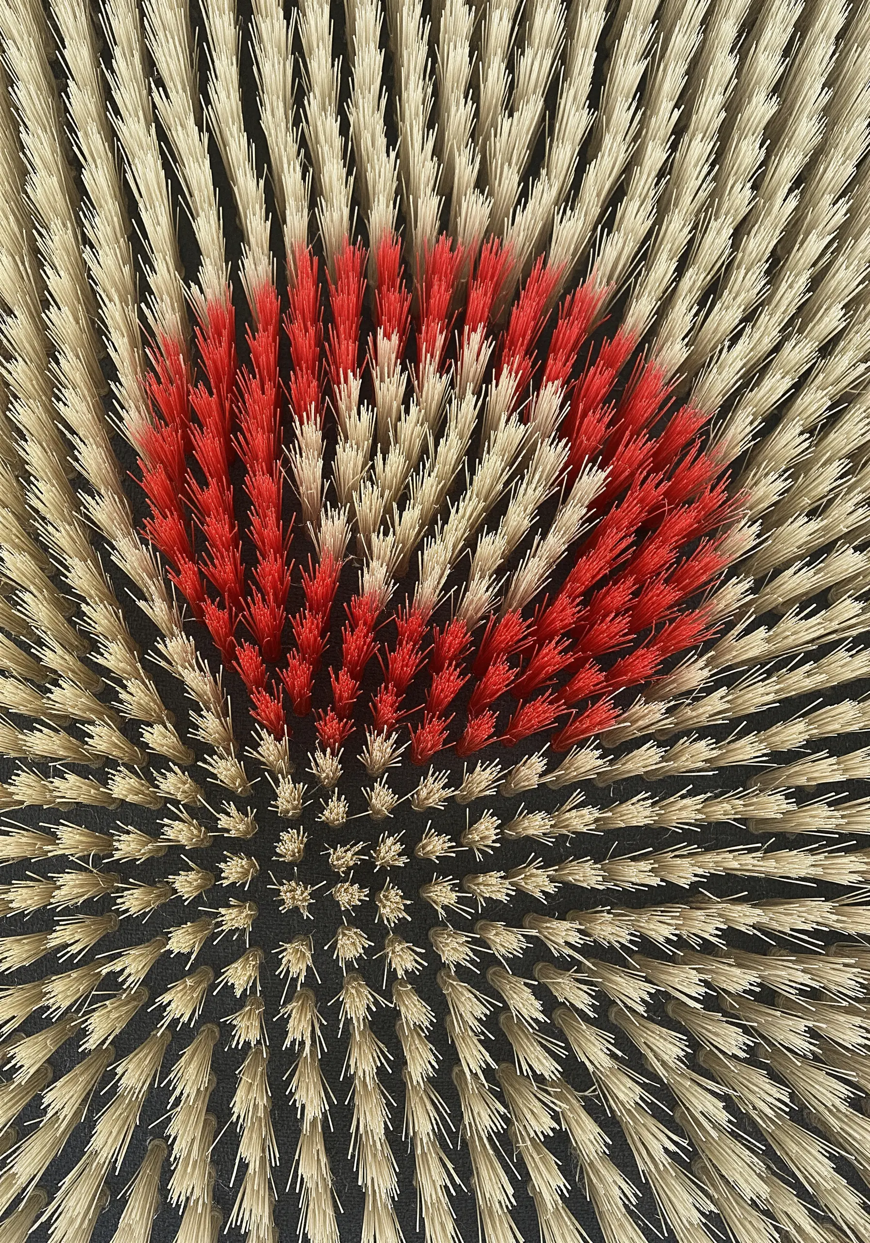 A close-up of a densely tufted texture with beige and red fibers creating a heart-like shape.