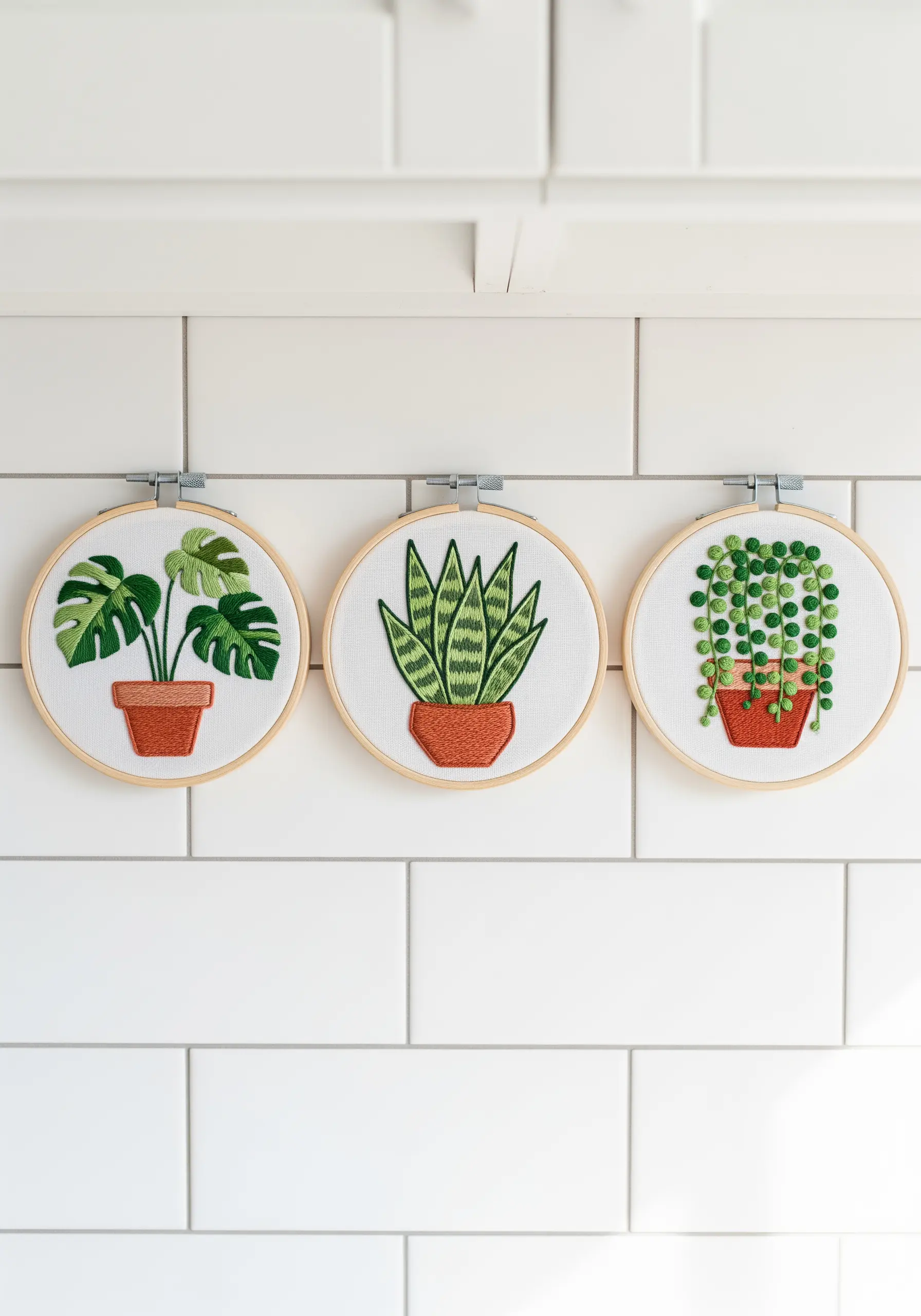 A trio of embroidery hoops showing a monstera, snake plant, and string of pearls.