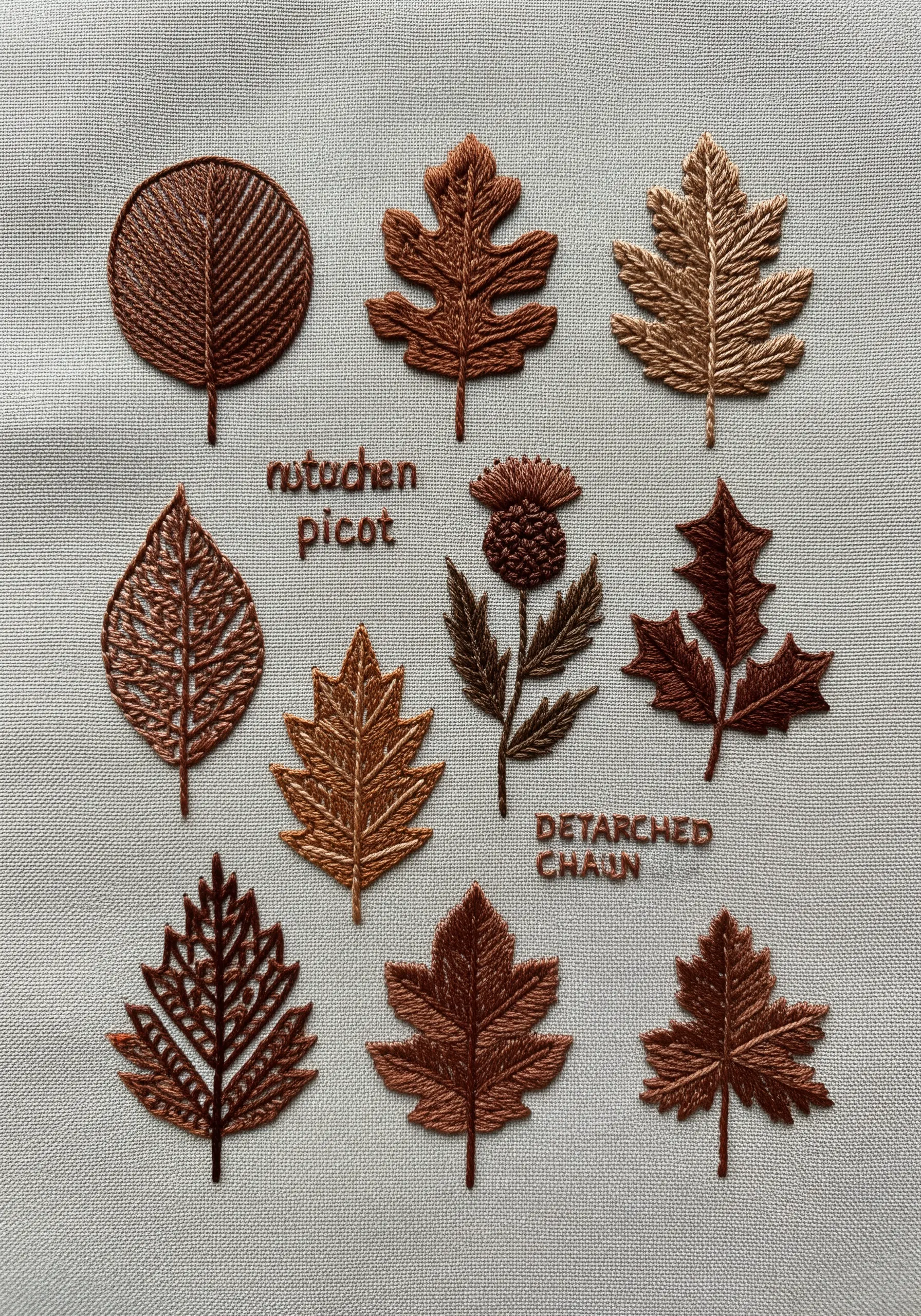 An embroidery sampler with various leaf shapes stitched in shades of brown, each using a different texture.
