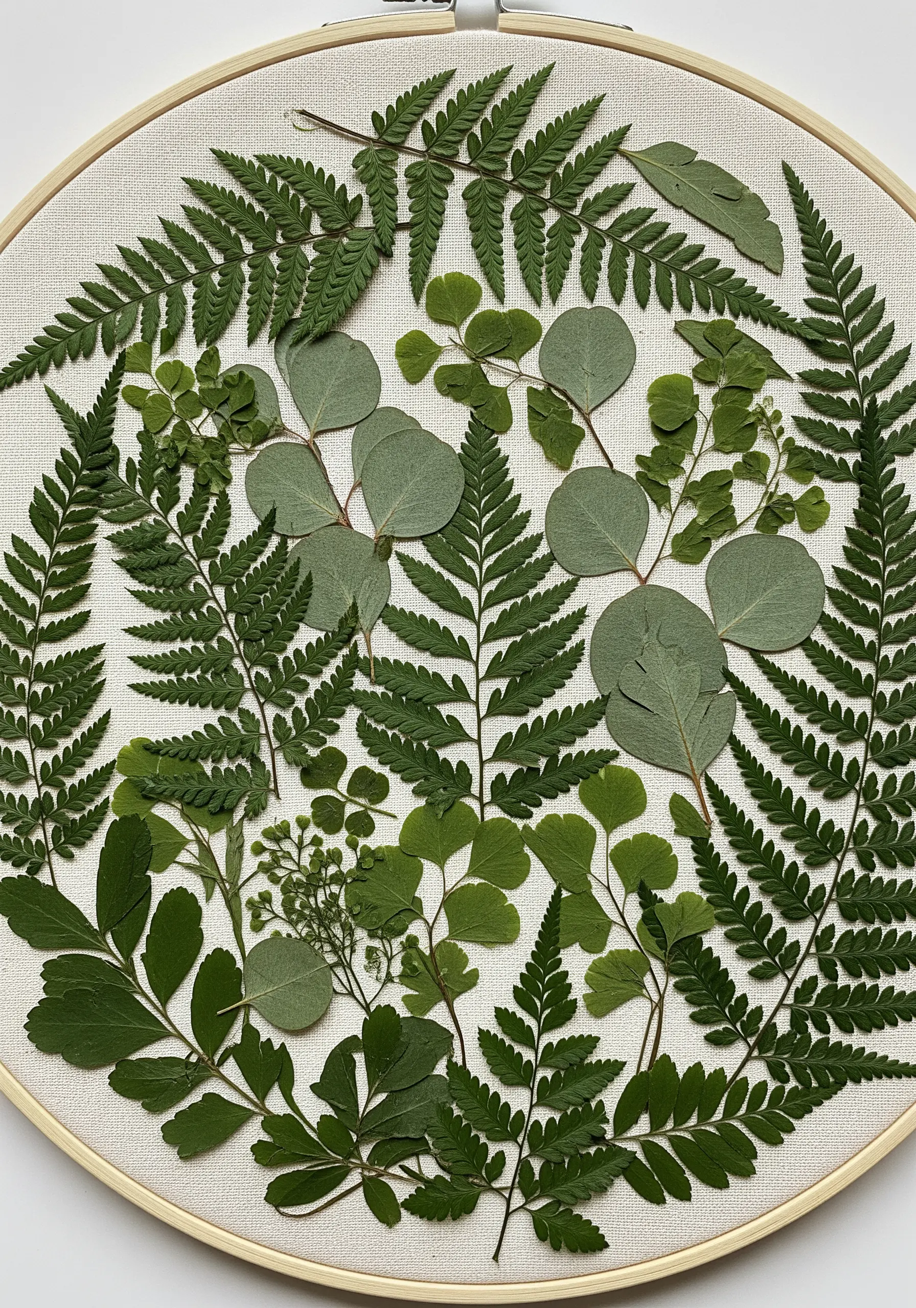 An embroidery hoop filled with a dense collage of various types of pressed green leaves.