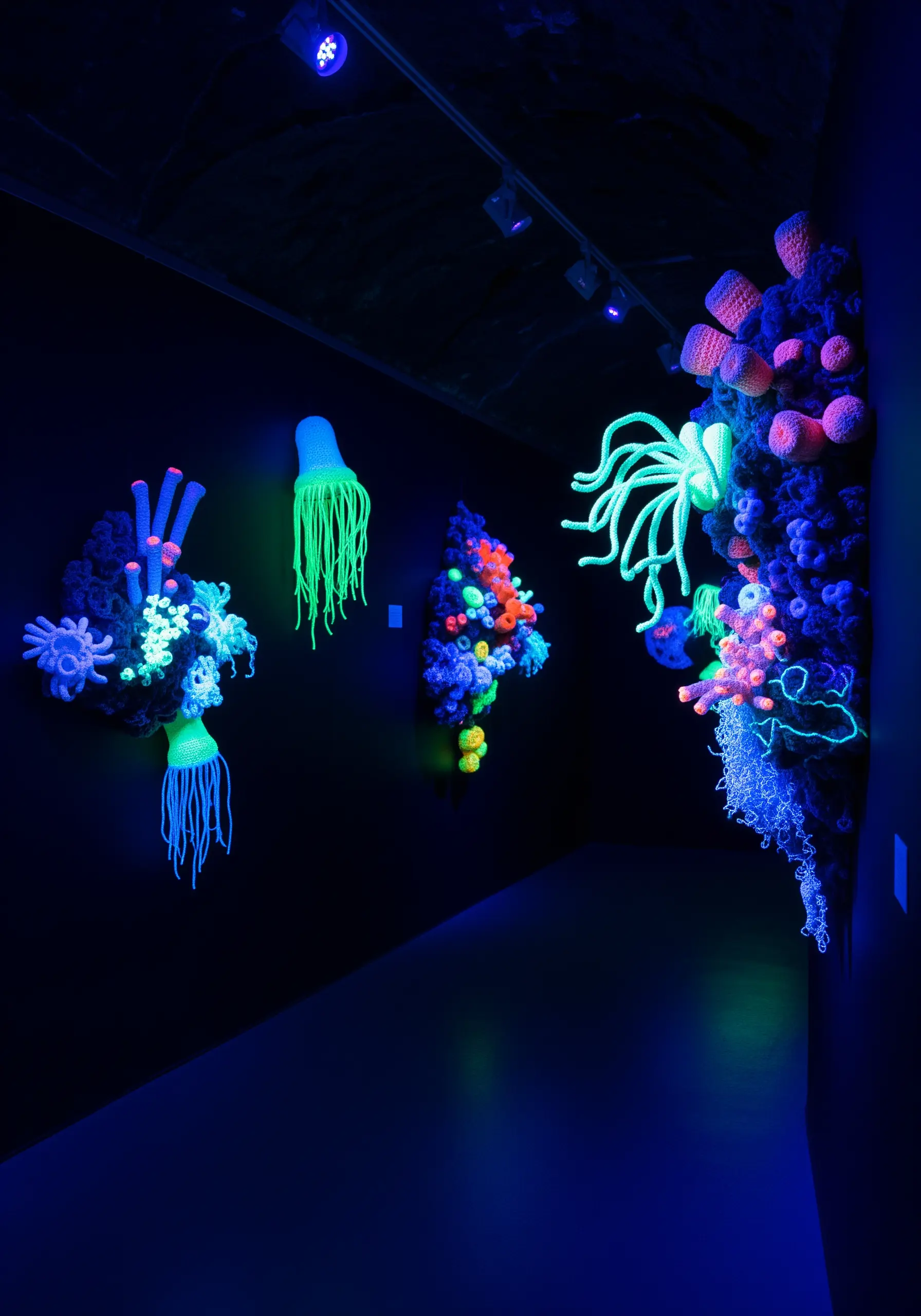 A dark room showcasing crocheted coral reef sculptures that glow with vibrant neon colors.