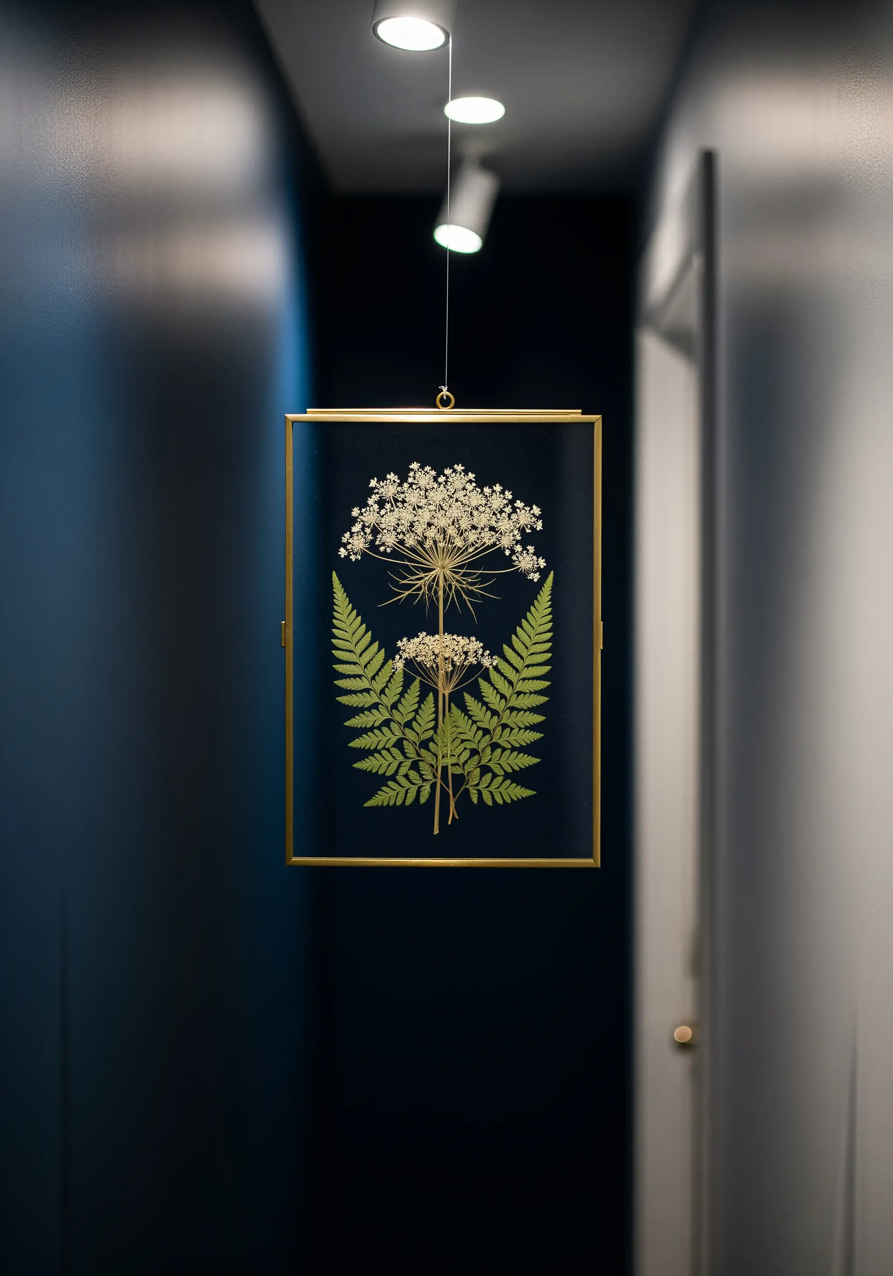 Pressed ferns and white Queen Anne's lace in a floating brass and glass frame.