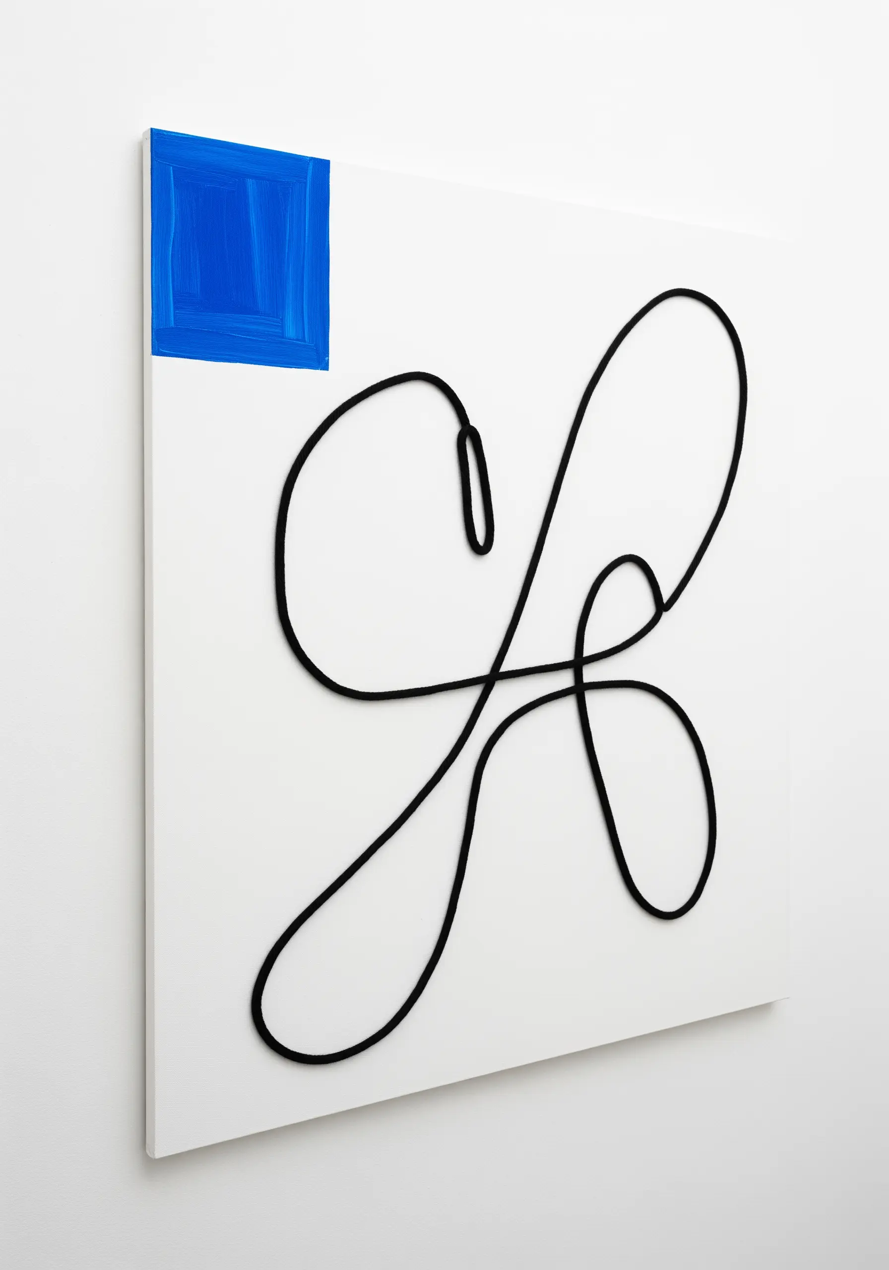 A minimalist abstract piece with a single black cord forming a loop on a white canvas.
