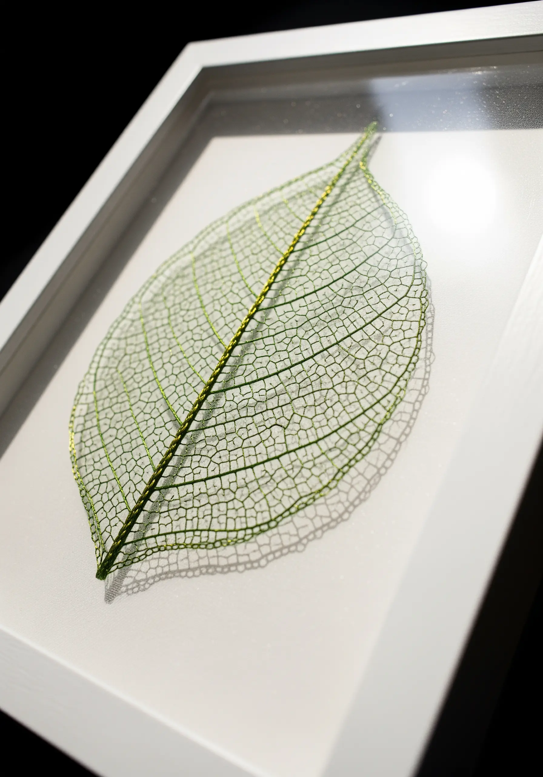A delicate, preserved skeleton leaf embroidered with green and gold thread, framed in a white shadow box.