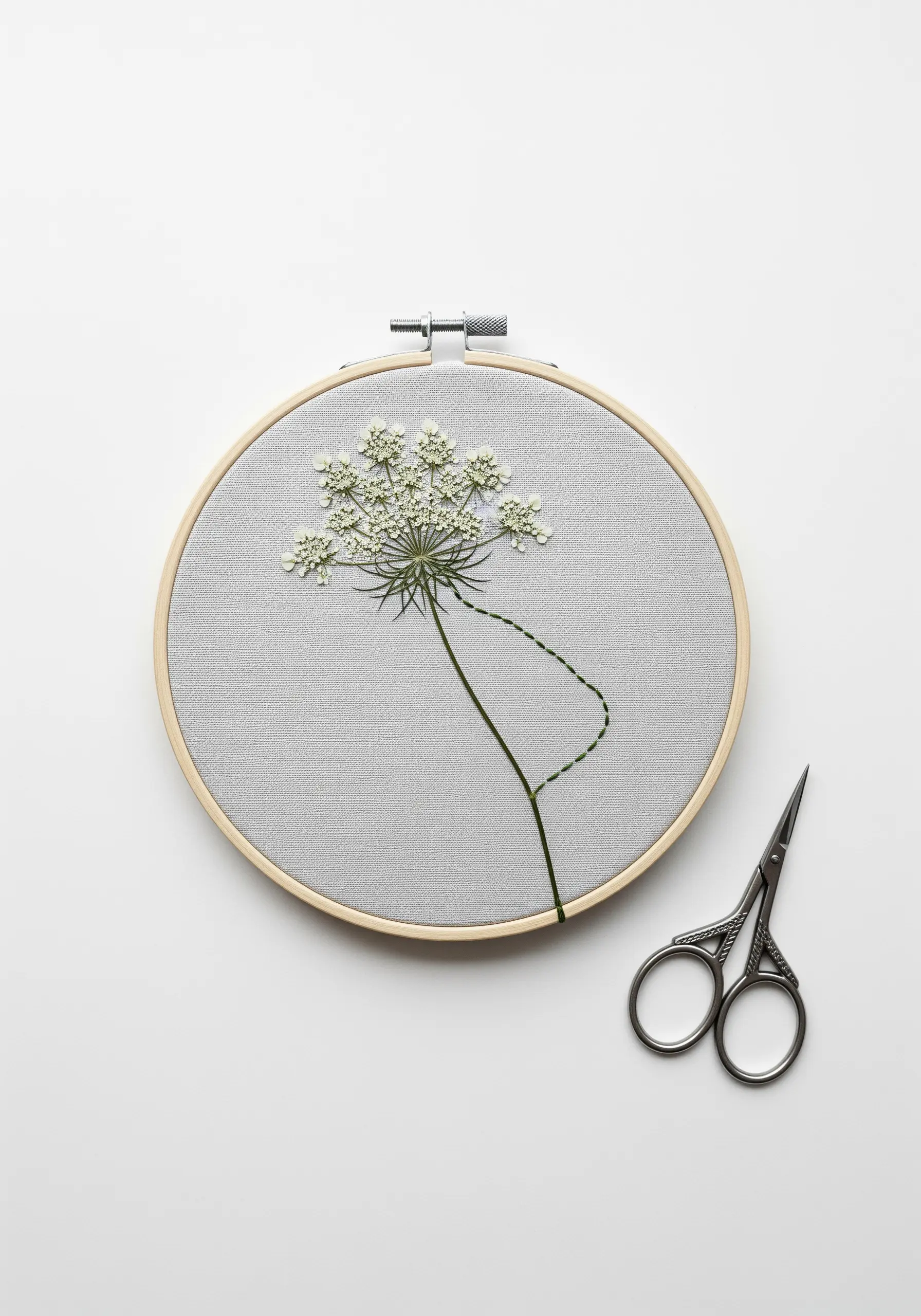 A pressed Queen Anne's lace flower with an embroidered stem that trails off unfinished.