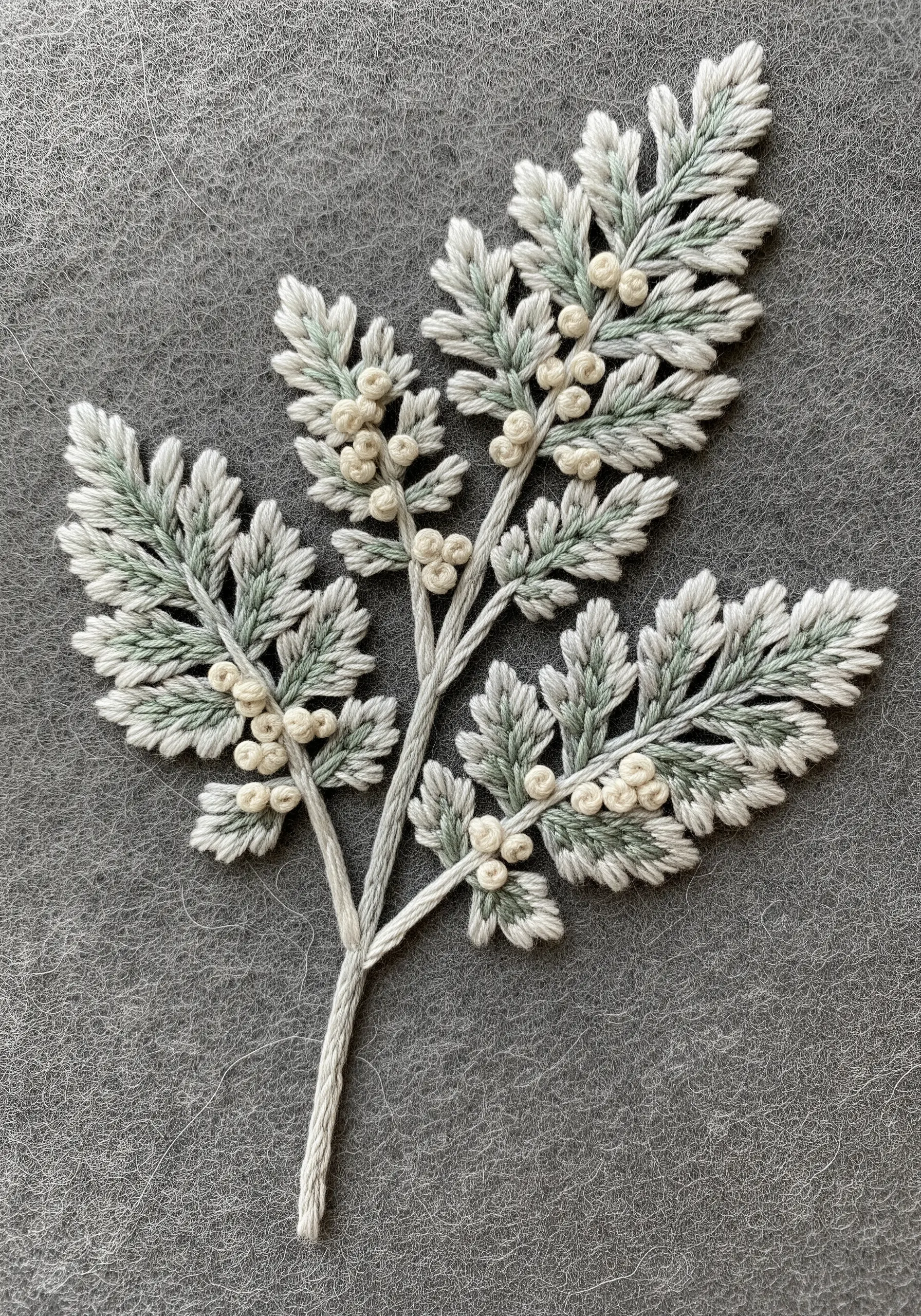 Embroidery of a soft, silvery-green Dusty Miller plant with white French knot details on grey felt.