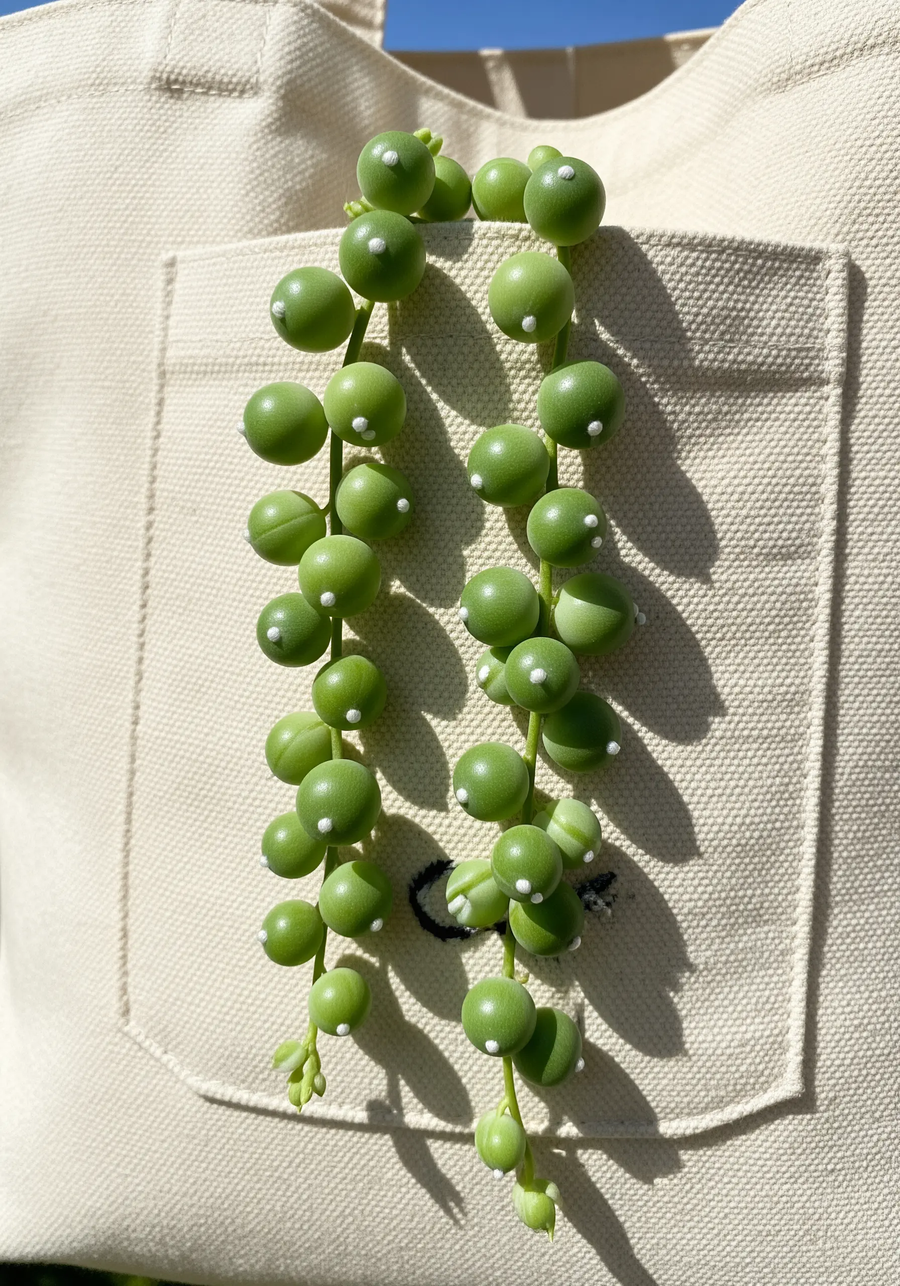 A 3D embroidered String of Pearls plant spilling out of a tote bag pocket.