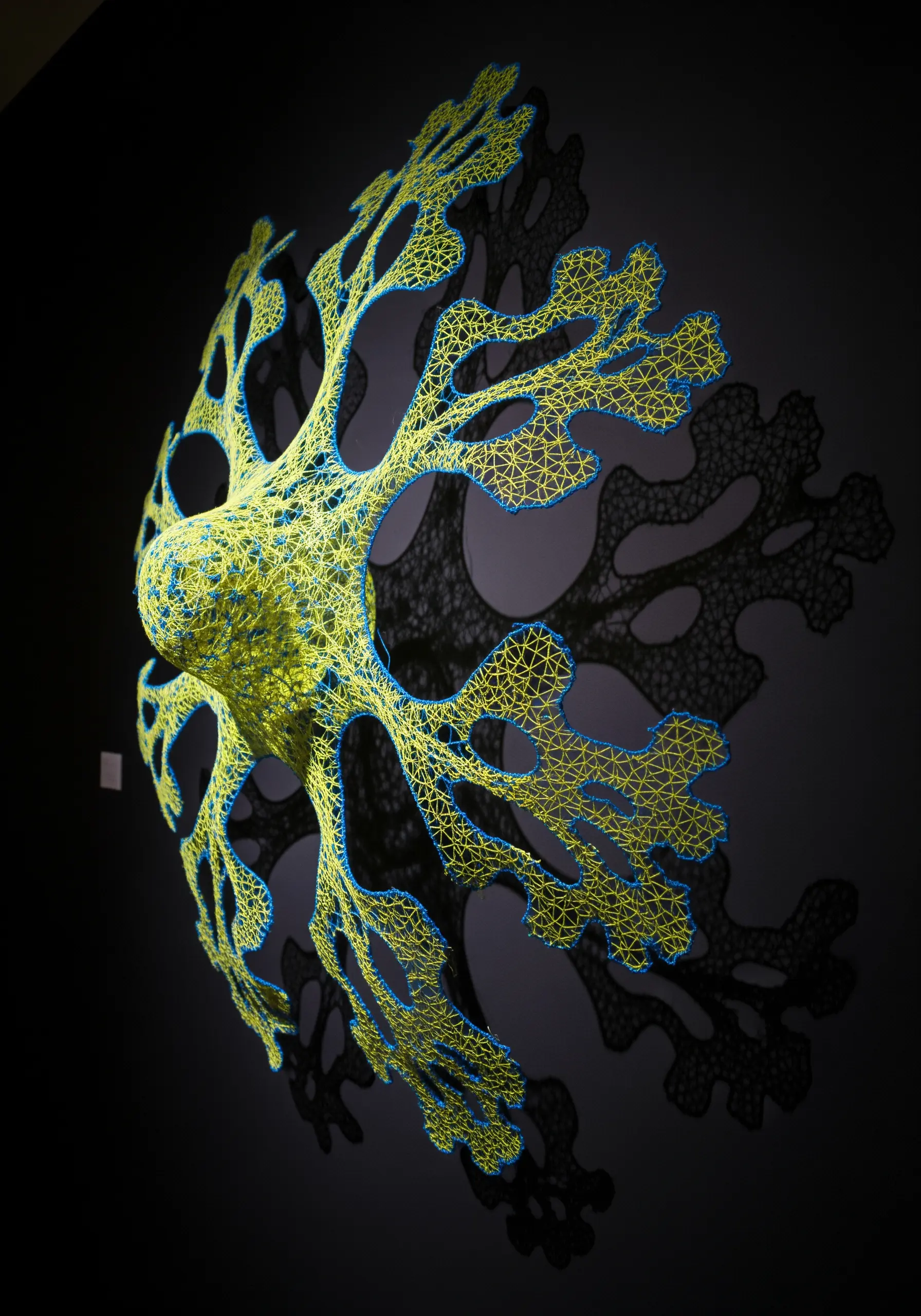 A 3D organic sculpture made of yellow and blue thread on a wireframe, casting a dark shadow.