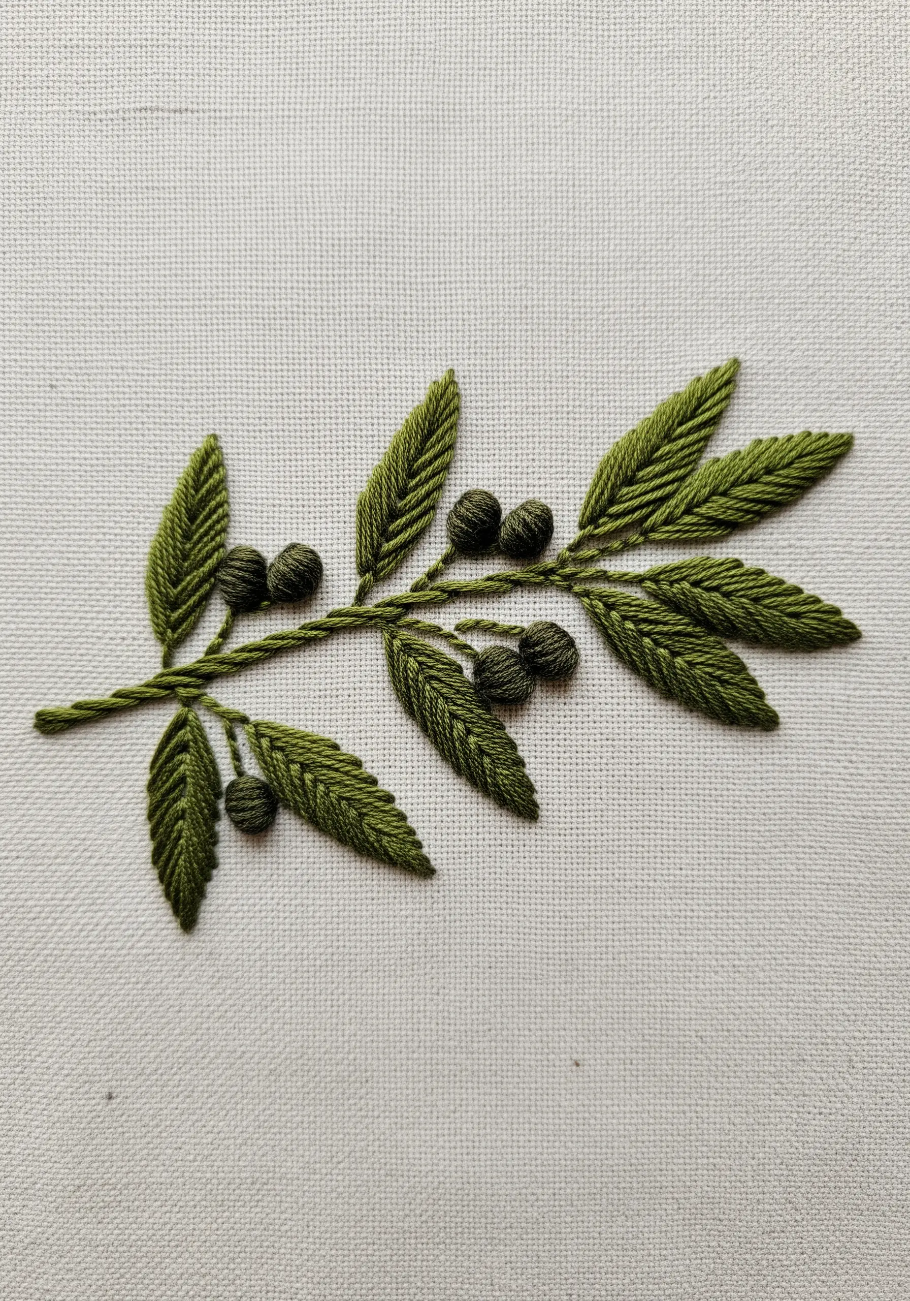 An olive branch with textured leaves and round, padded olives.