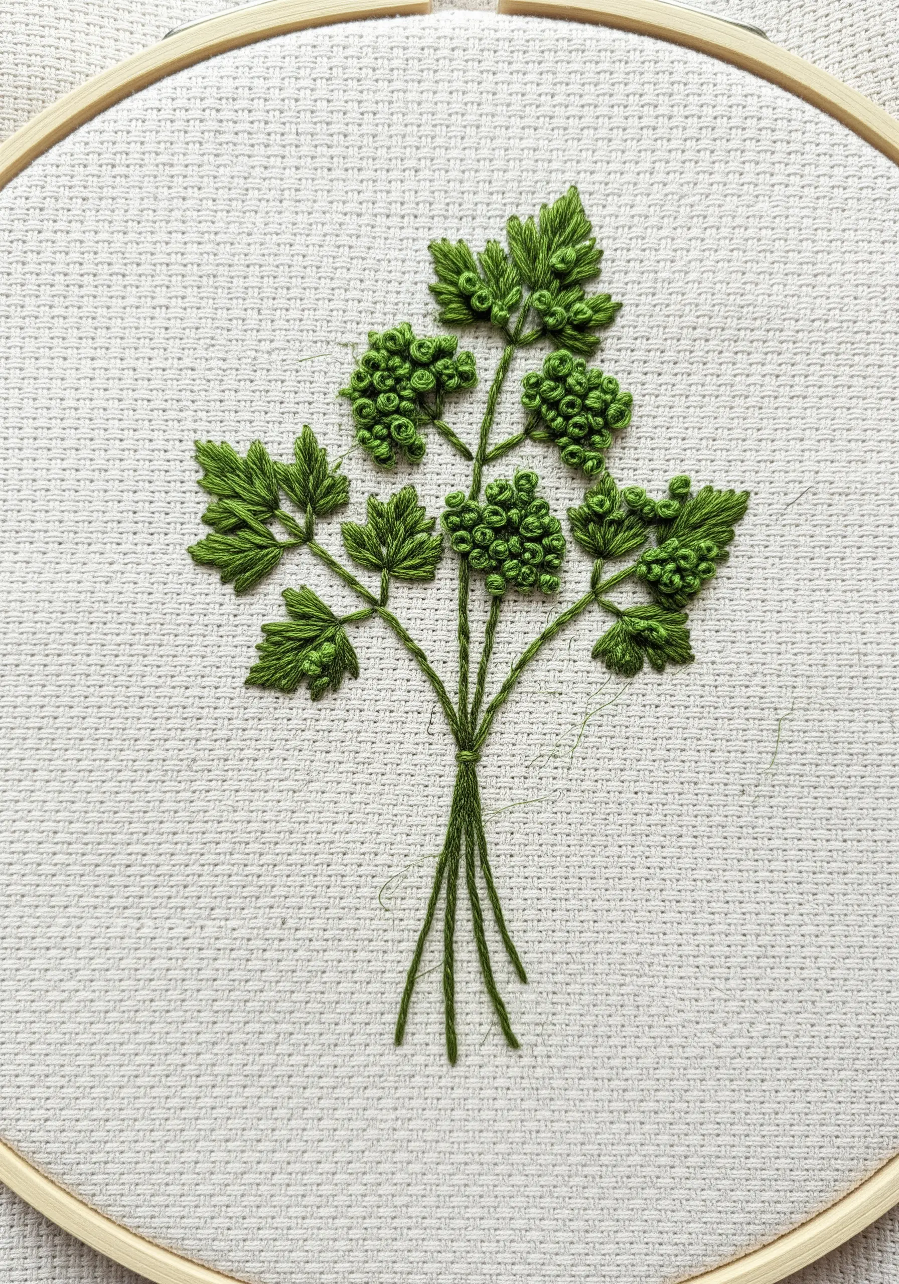 A bunch of curly parsley embroidered with dense French knots and detached chain stitches.