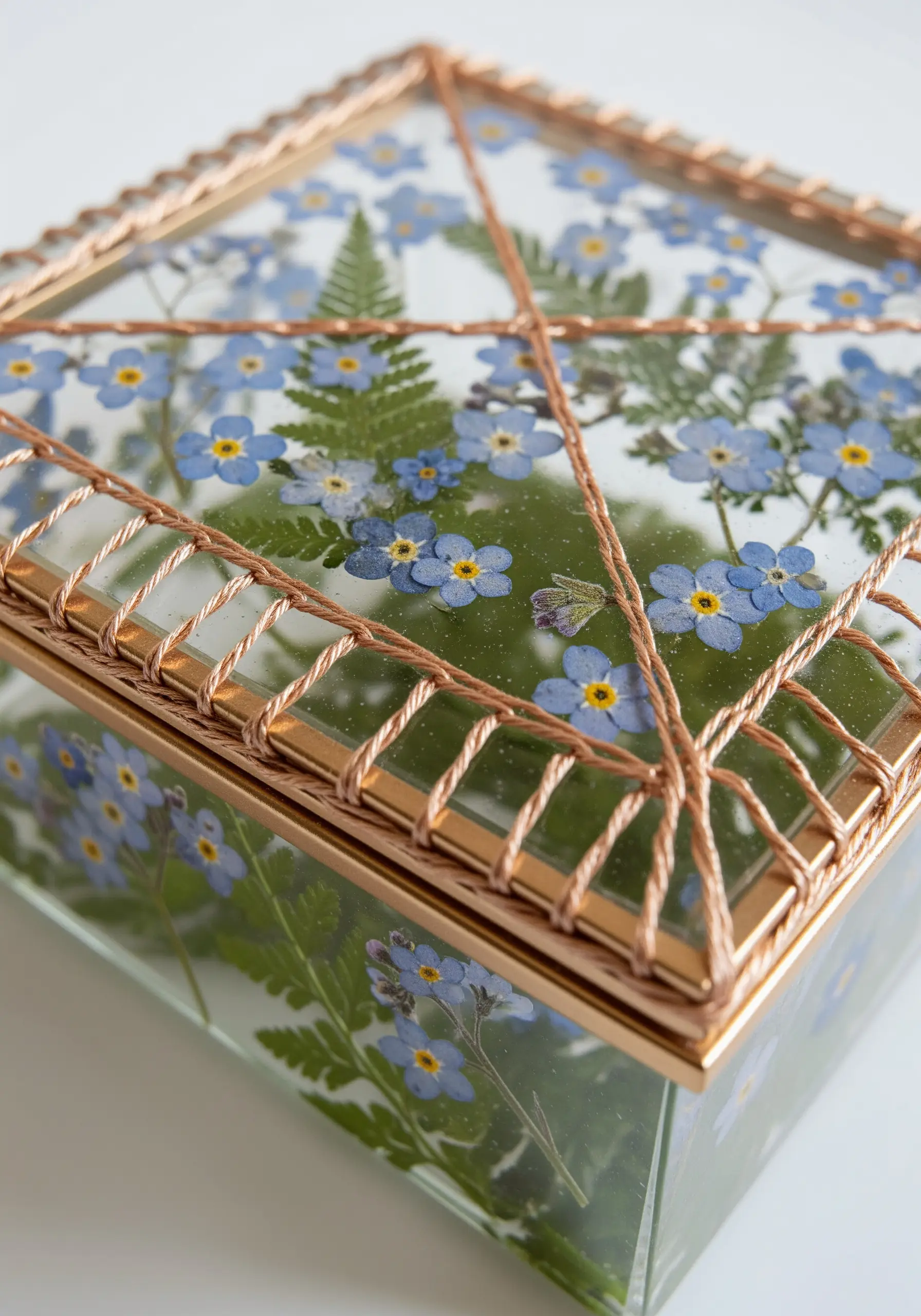 A glass and copper box filled with pressed forget-me-nots, with wire woven on the lid.