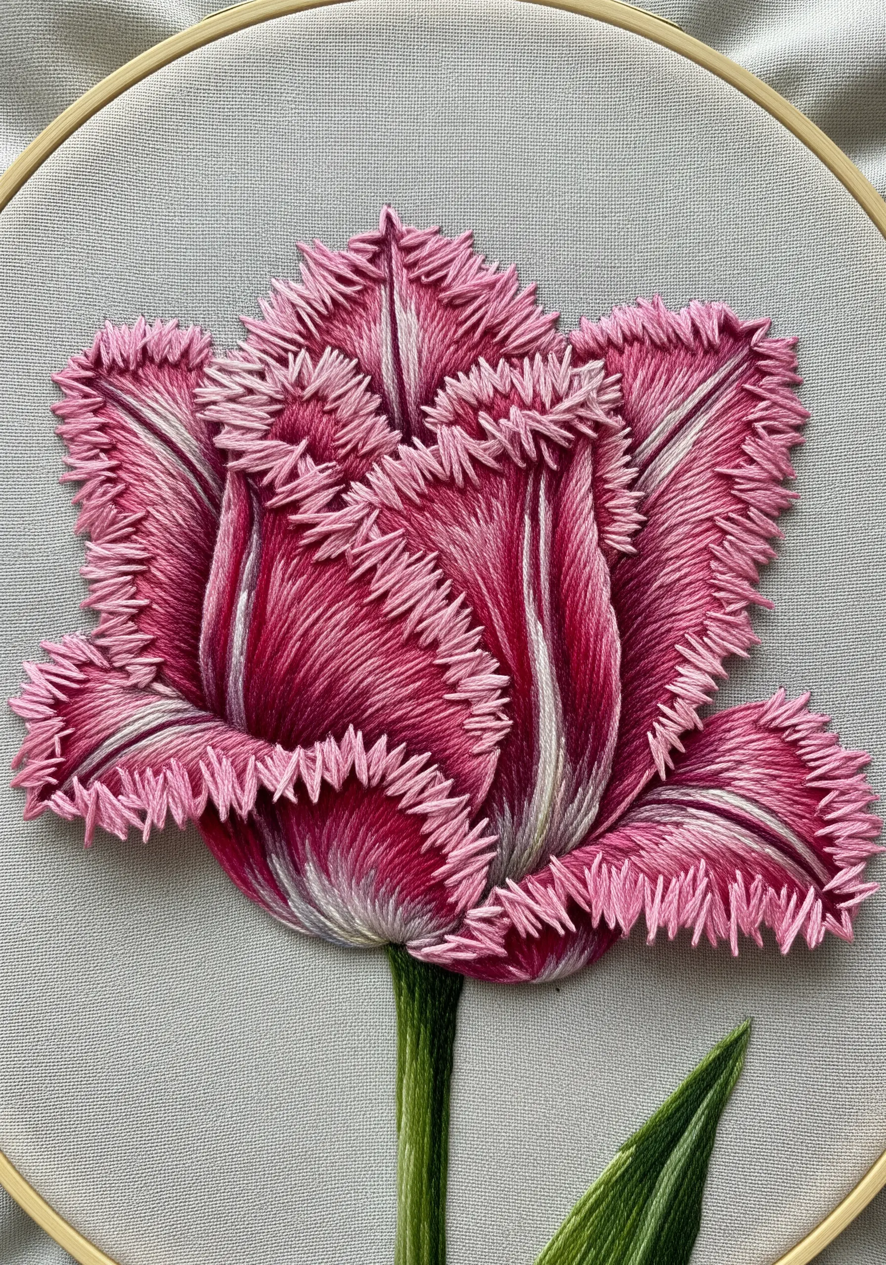 A close-up of a pink fringed tulip with textured, feathery edges made from cut thread loops.